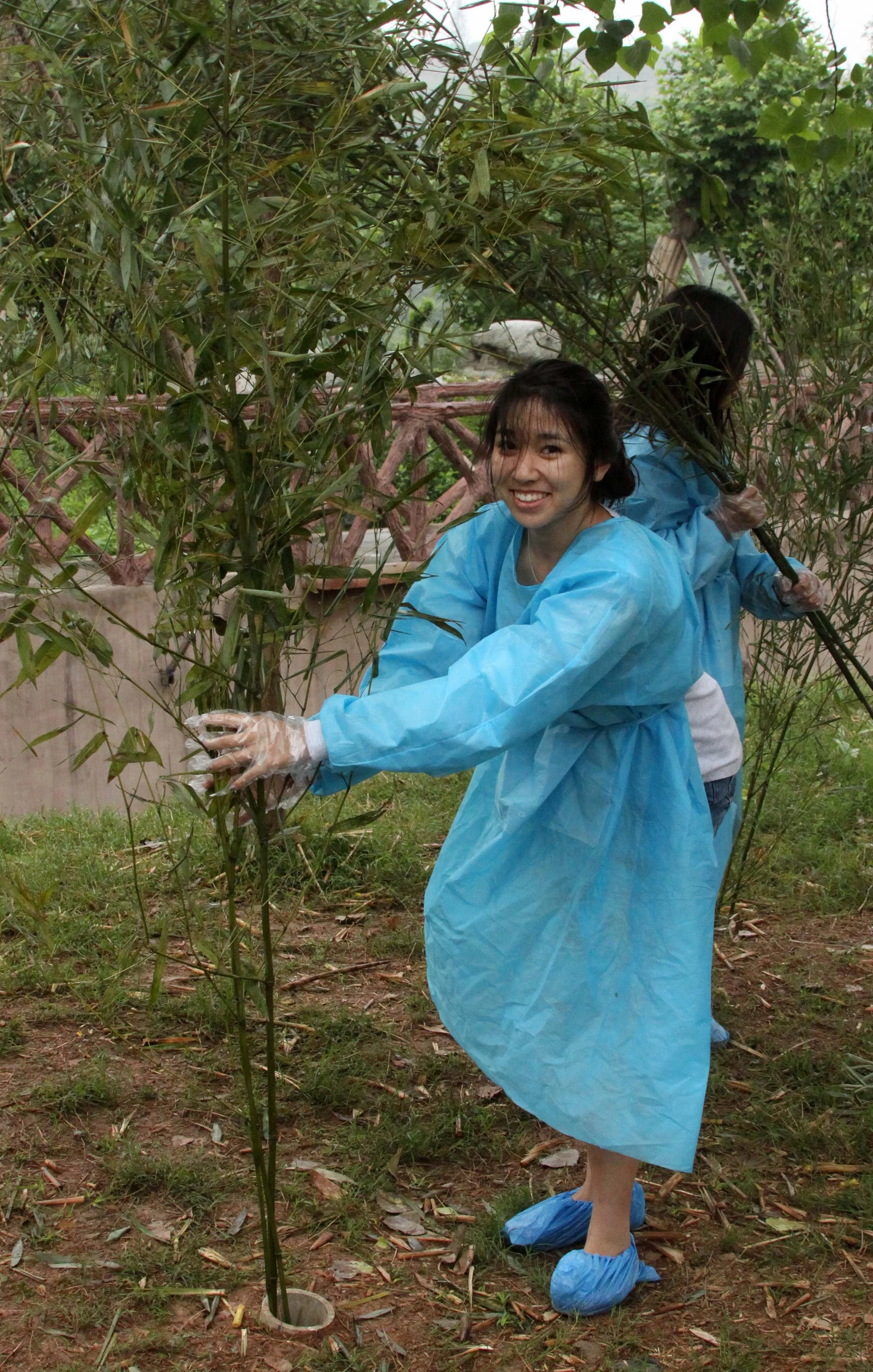 CHENGDU GIANT PANDA BREEDING CENTER - CHINA ALIVE 2011 (14).JPG