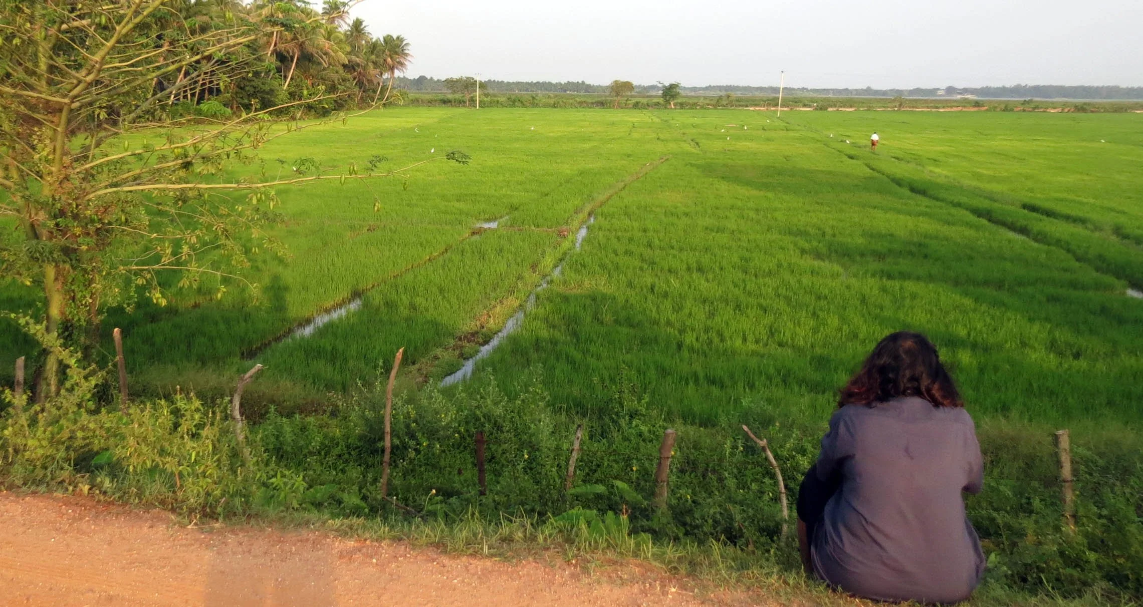 YALA NATIONAL PARK SRI LANKA - KIRINDA VILLAGE AREA (3).JPG