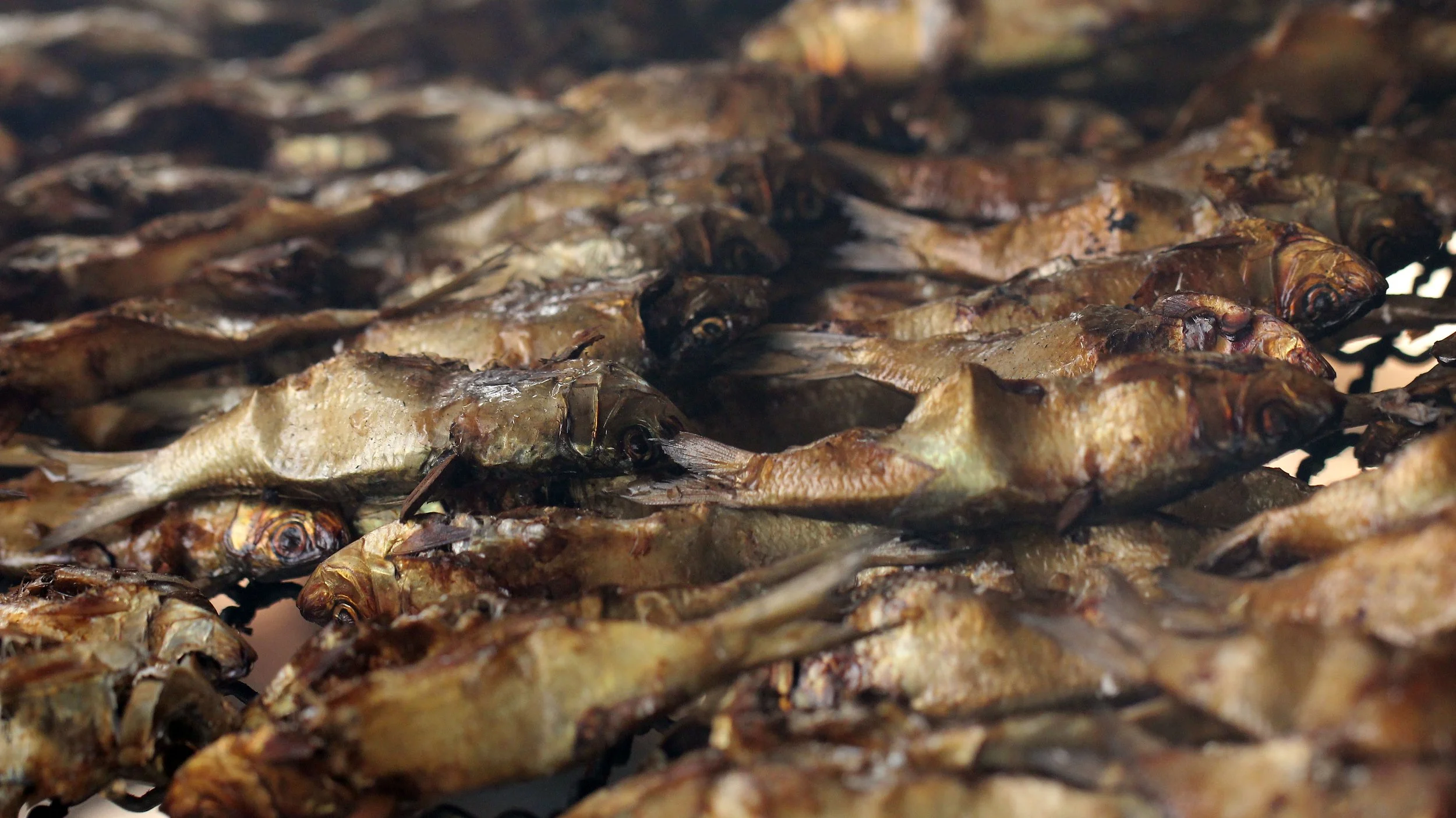 2015 Koh Lanta October Break Trip  (44).JPG