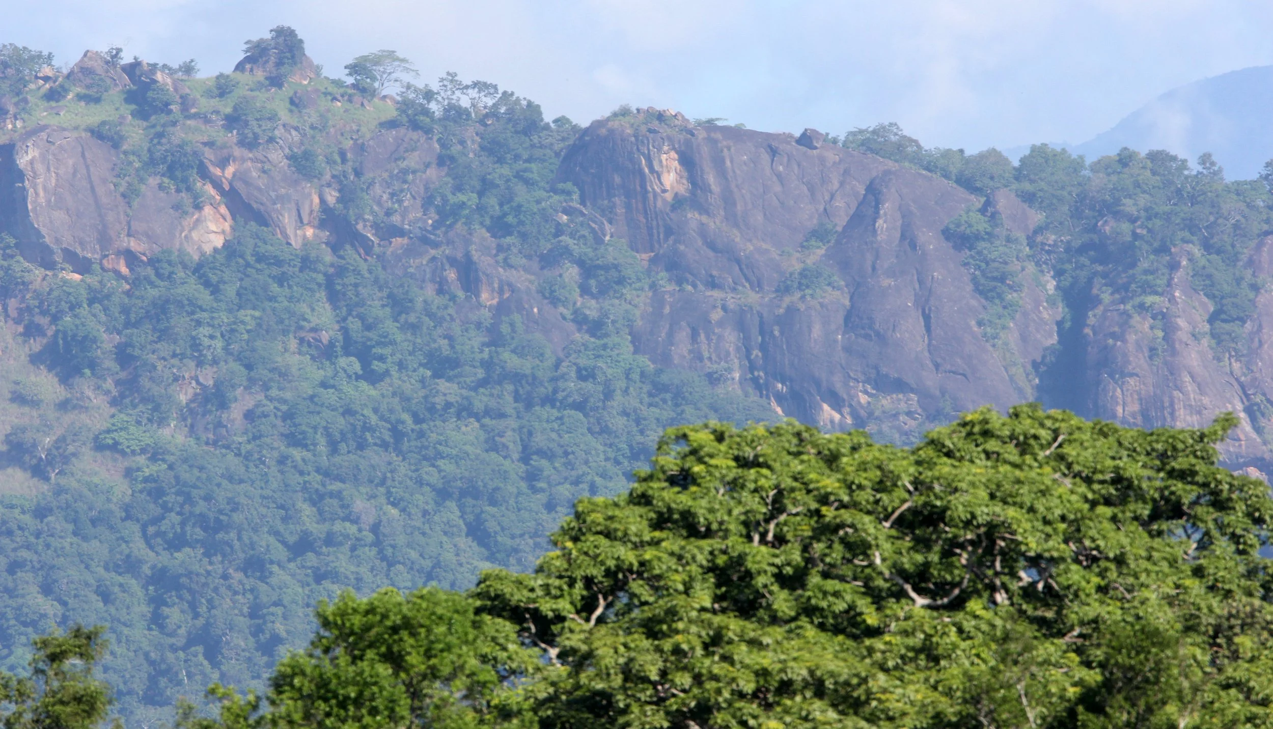 UDAWALAWA NATIONAL PARK SRI LANKA (26).JPG