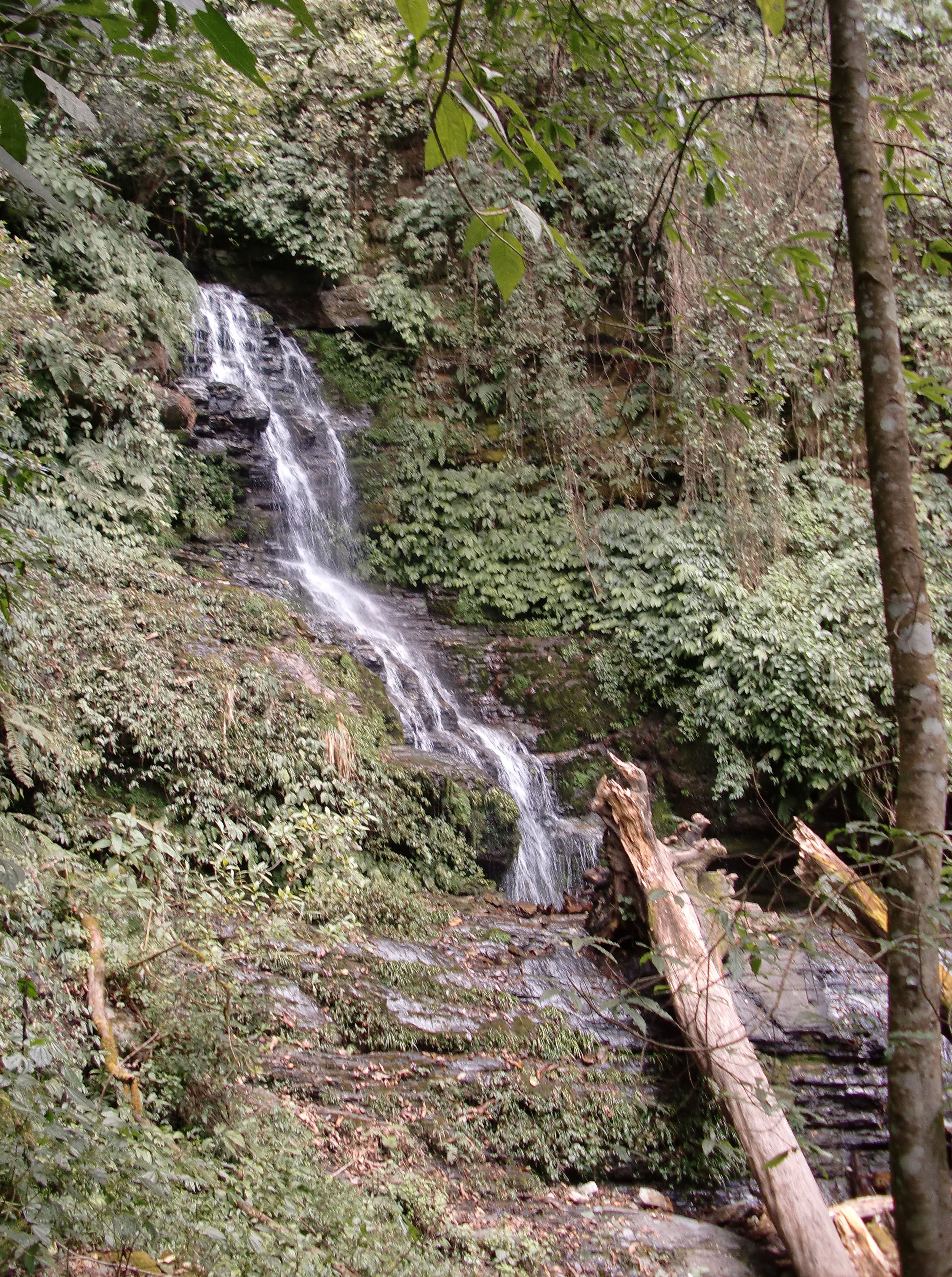 YUNNAN - WULIANGSHAN NATURE RESERVE AND SURROUNDING MOUNTAINS (2).JPG