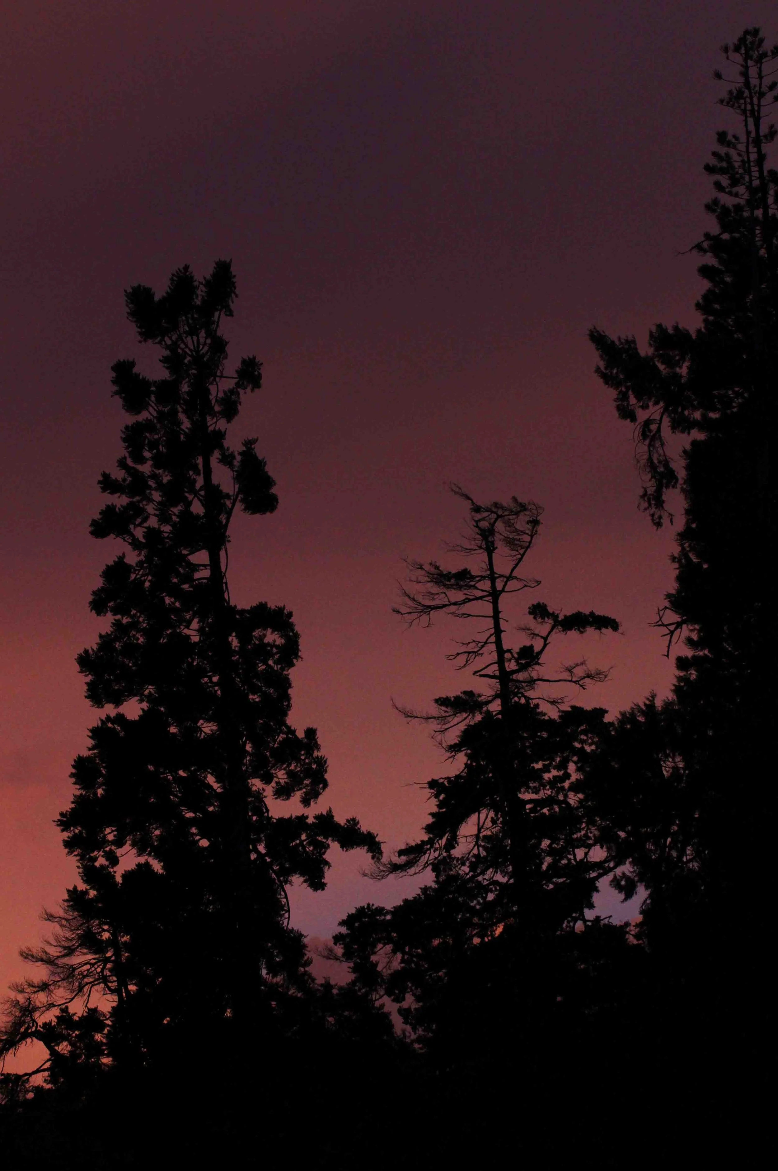 NUWARA ELIYA SRI LANKA (32).JPG