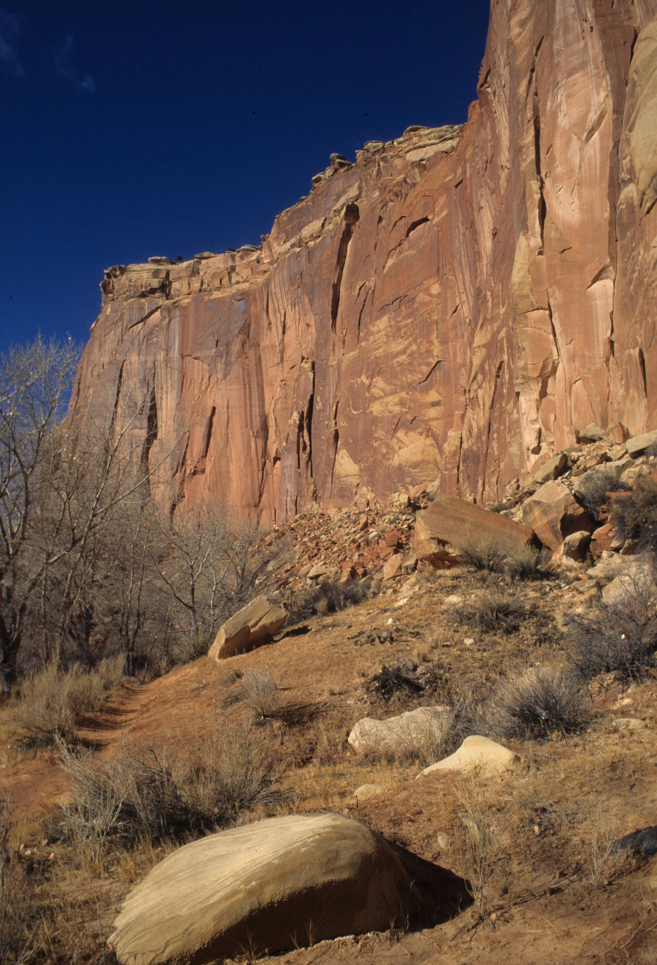 UTAH - CAPITOL REEF NP (2).jpg
