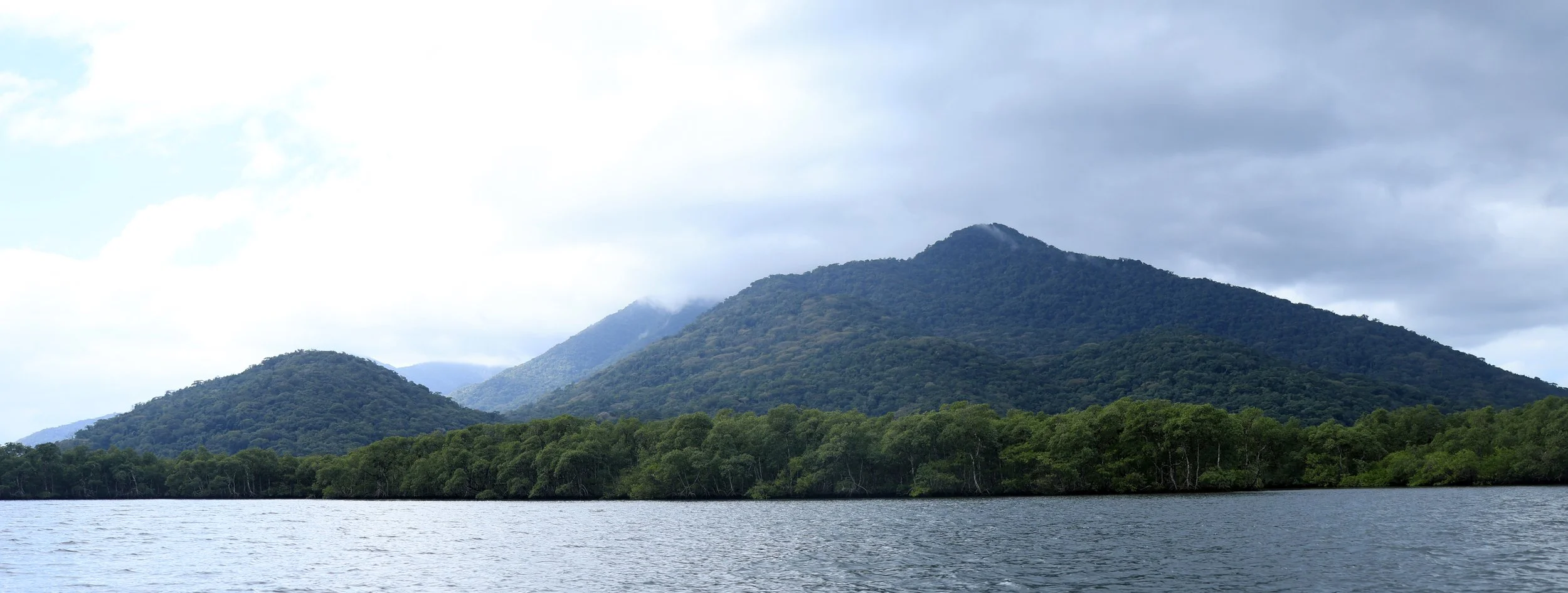 Superagüi National Park, Brazil (249).jpg