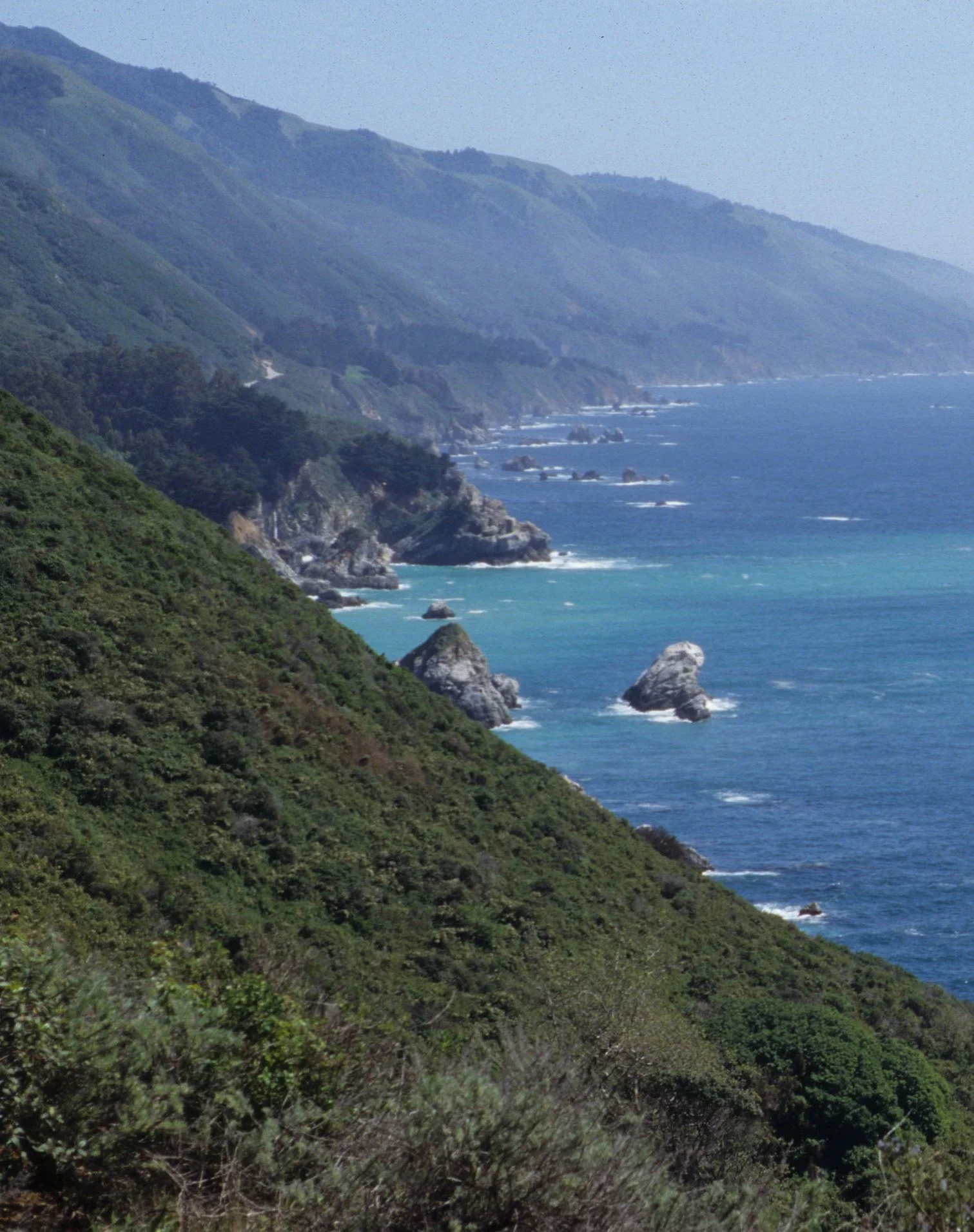 CALIFORNIA - BIG SUR - COAST VISTA B1.jpg
