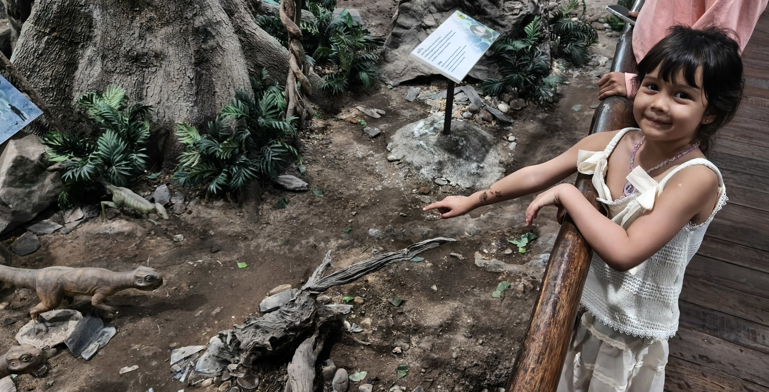 Phu Wiang Dinosaur Museum Khon Kaen Province (24).jpg