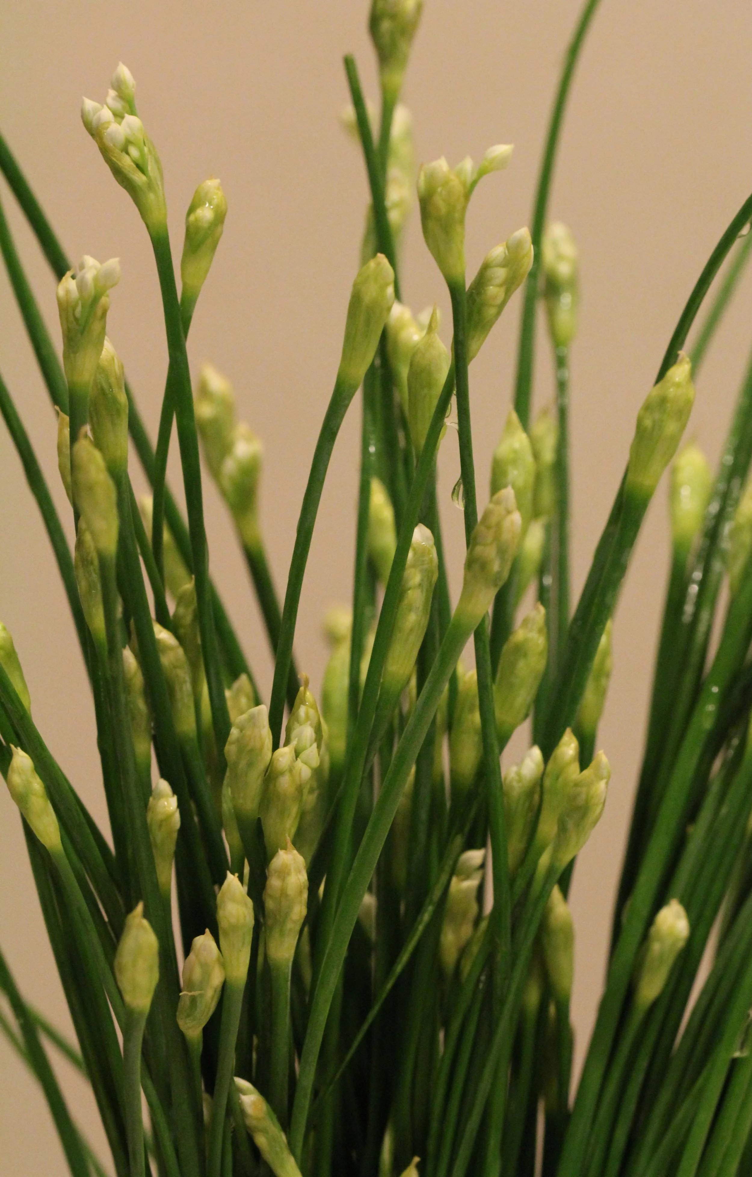 2013 - BANGKOK OCTOBER 2013 (41).JPG