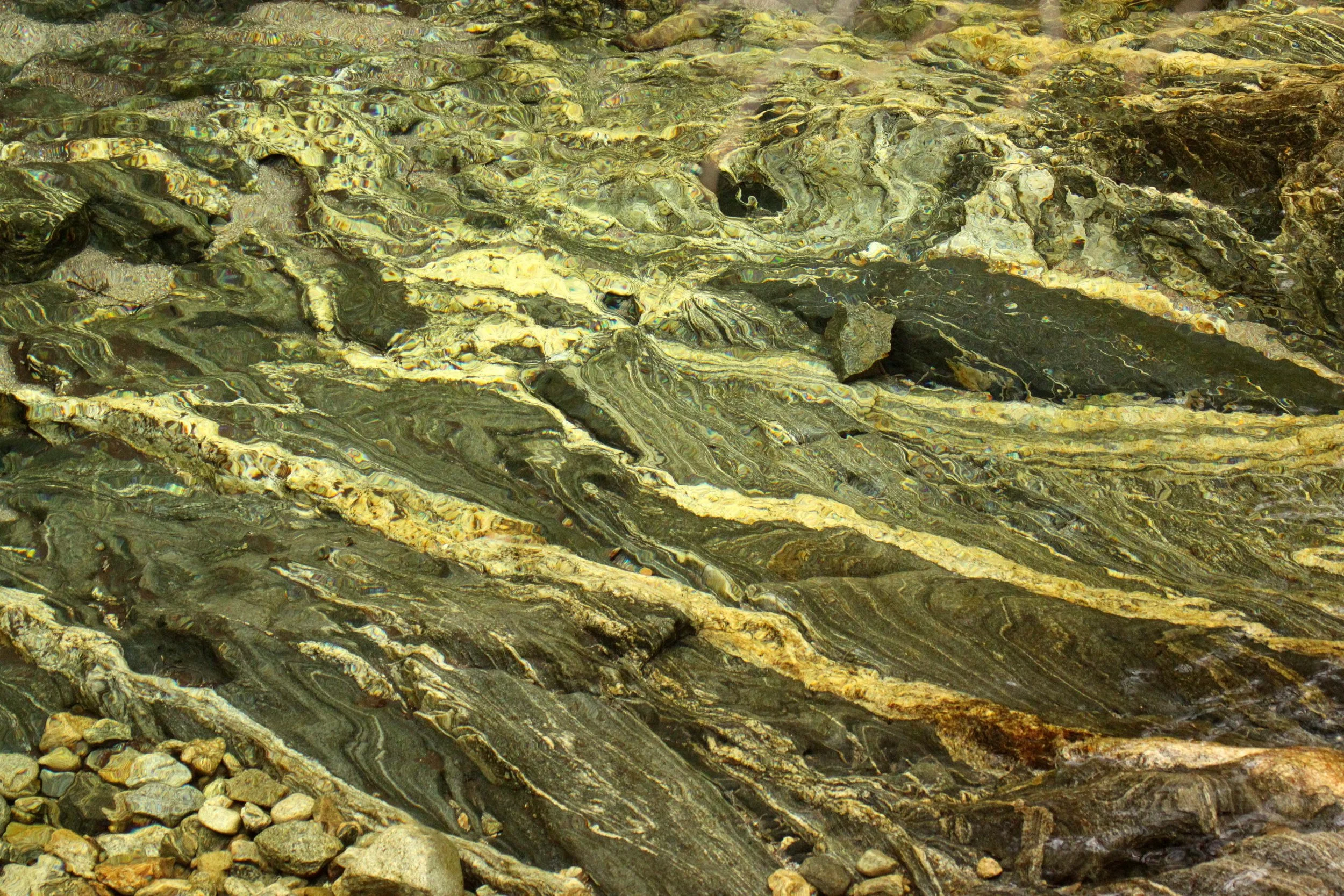 FOPING NATURE RESERVE - SHAANXI PROVINCE CHINA (105).JPG