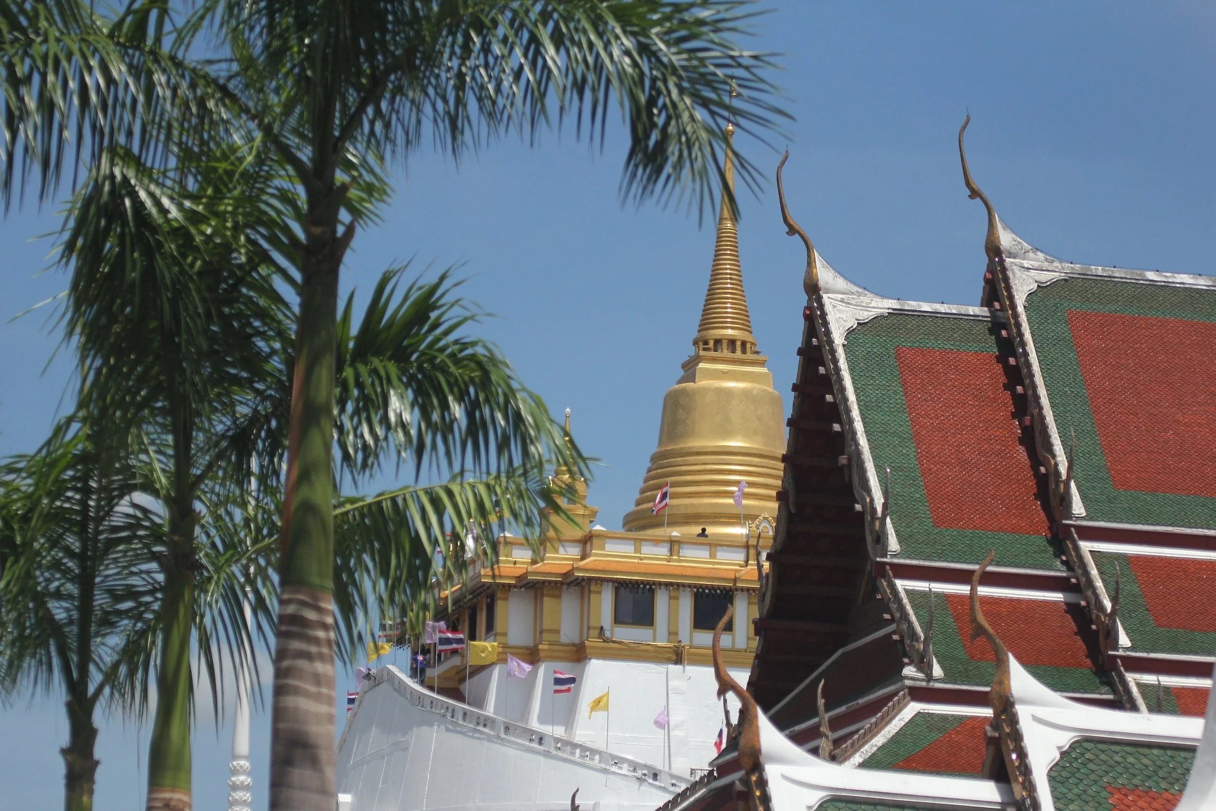 2020 - Ayutthaya Cokie's Pictures (1).JPG