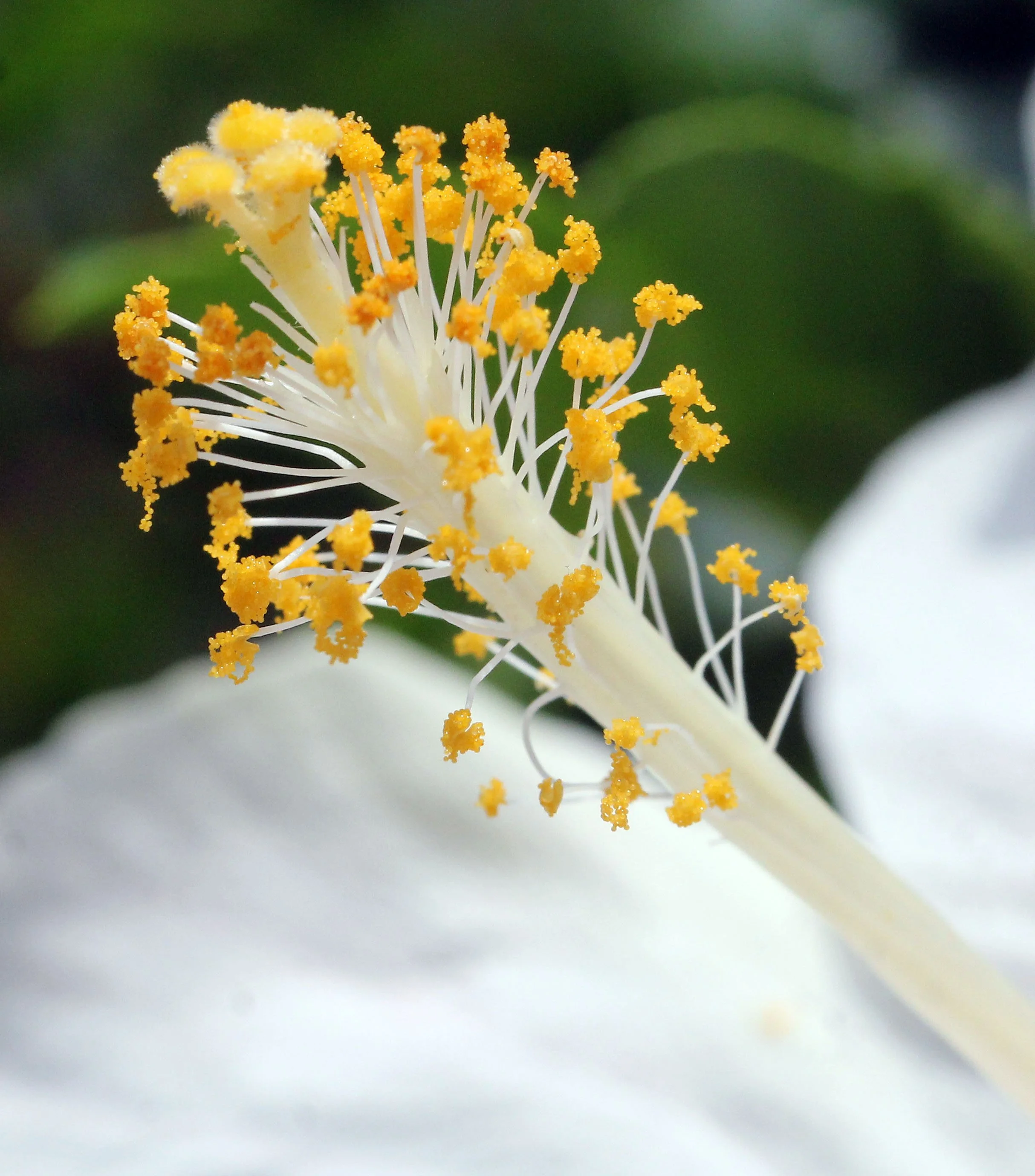 2015 Koh Lanta October Break Trip  (99).JPG