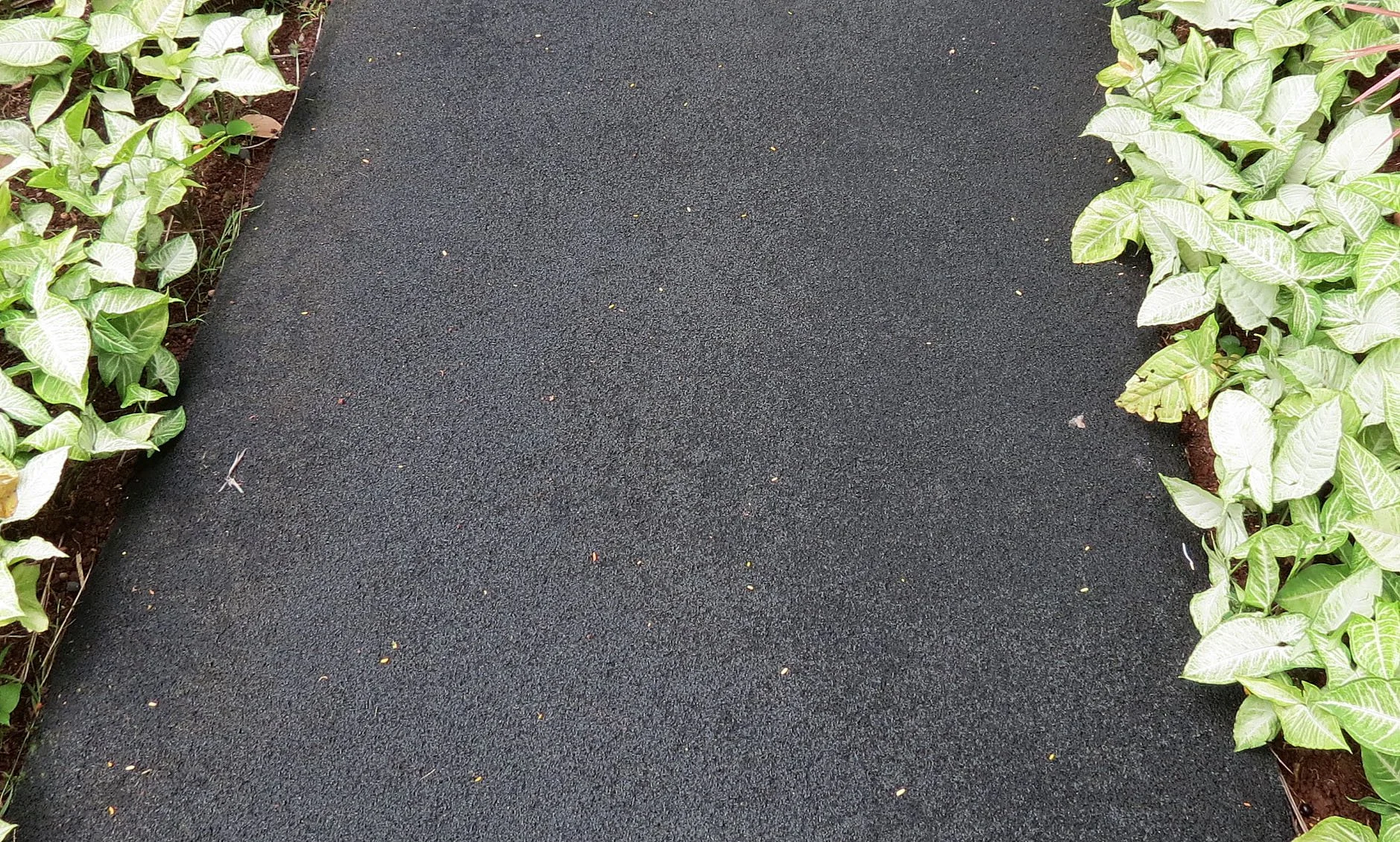 JAKARTA INDONESIA (17).JPG