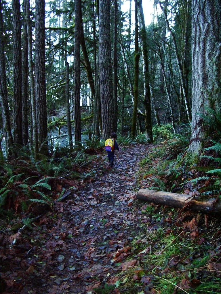 2004-11-18 HIKE WITH COKIE IN THE FOREST (3).JPG