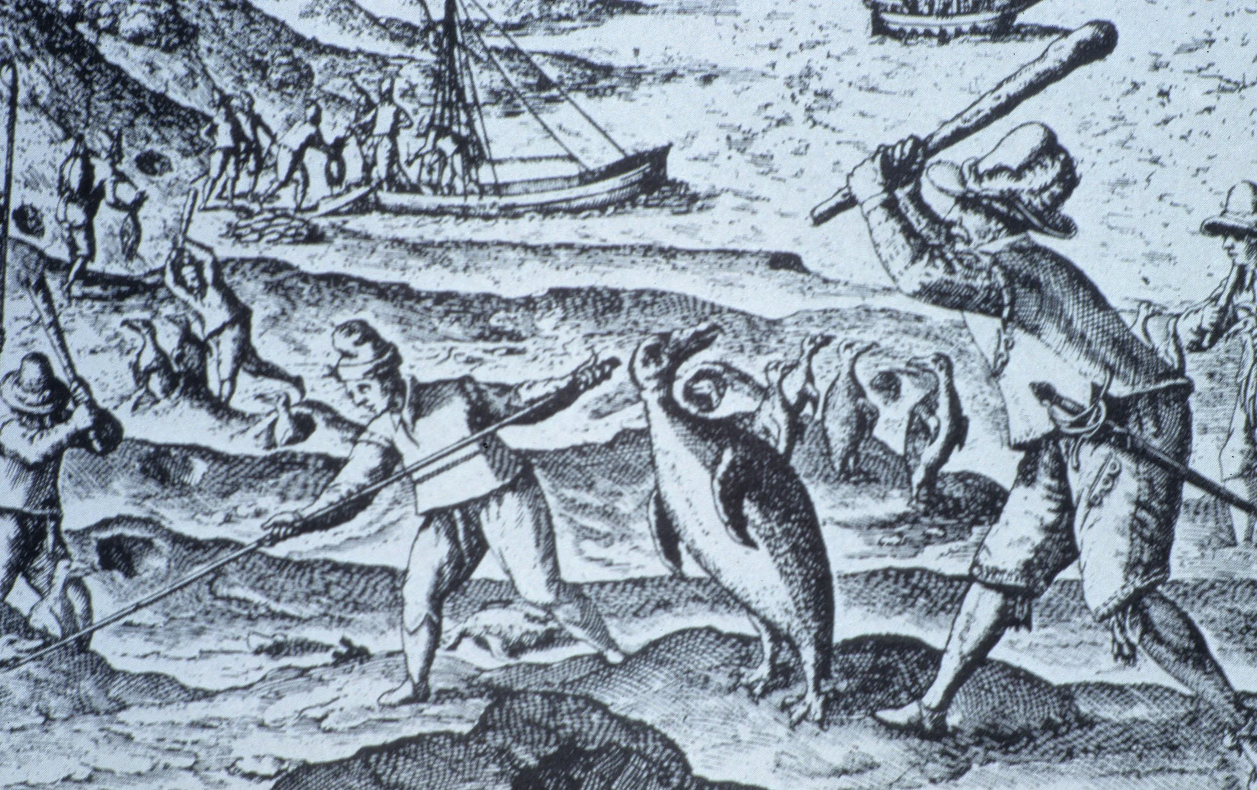 PENGUIN KILL.jpg