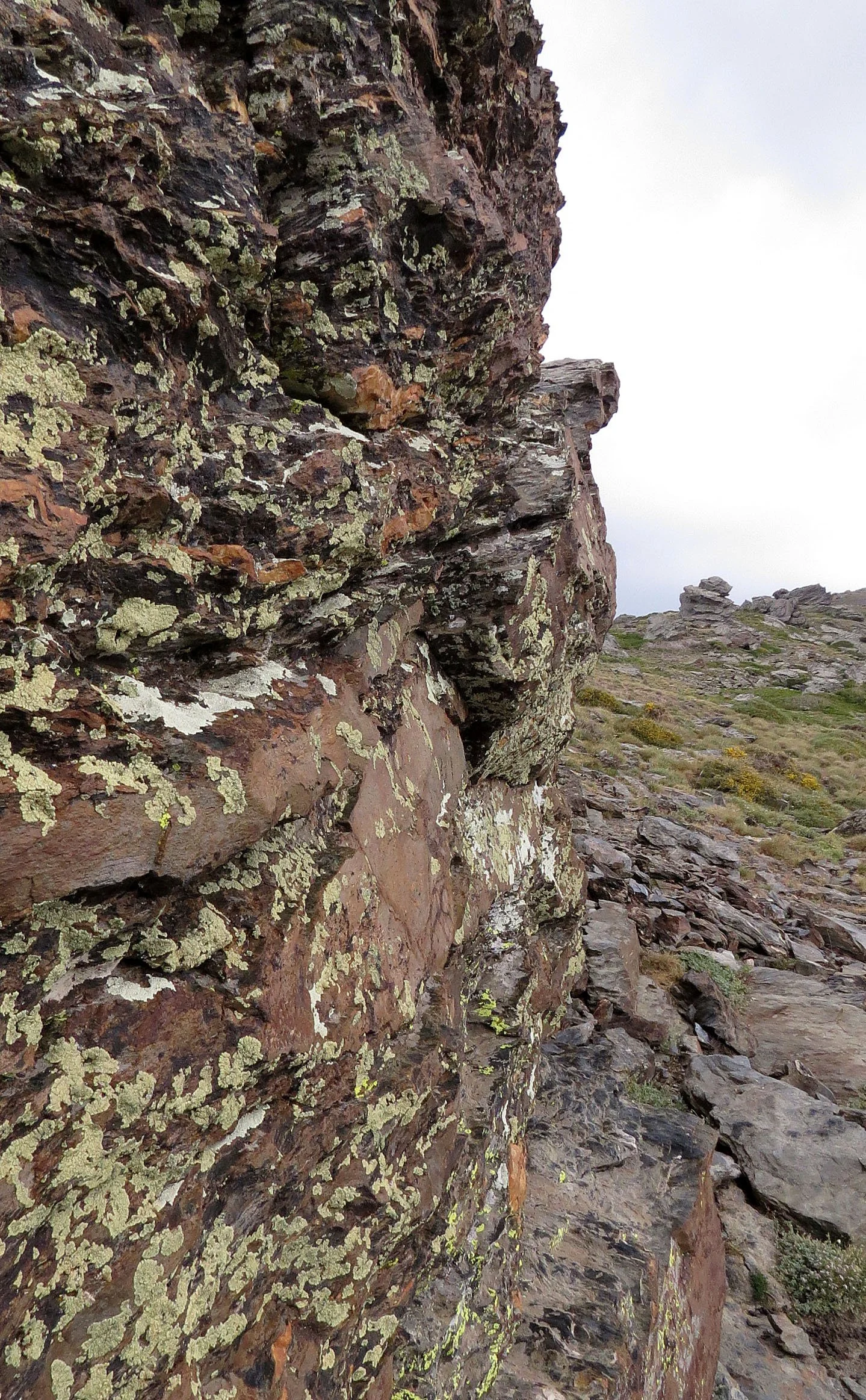 SIERRA NEVADA NATIONAL PARK SPAIN (52).JPG