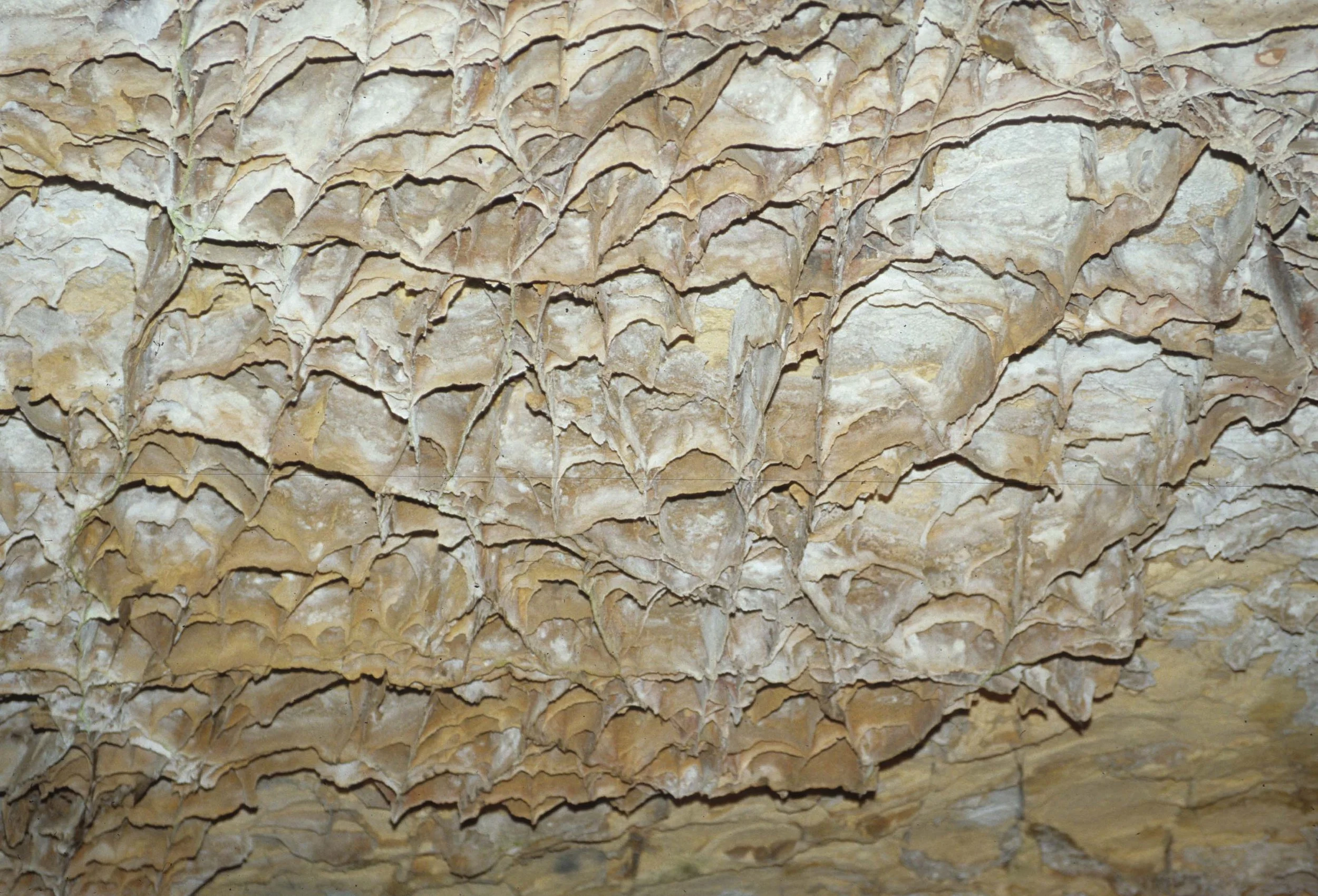 GREAT PLAINS - CAVE OF THE WINDS B.jpg