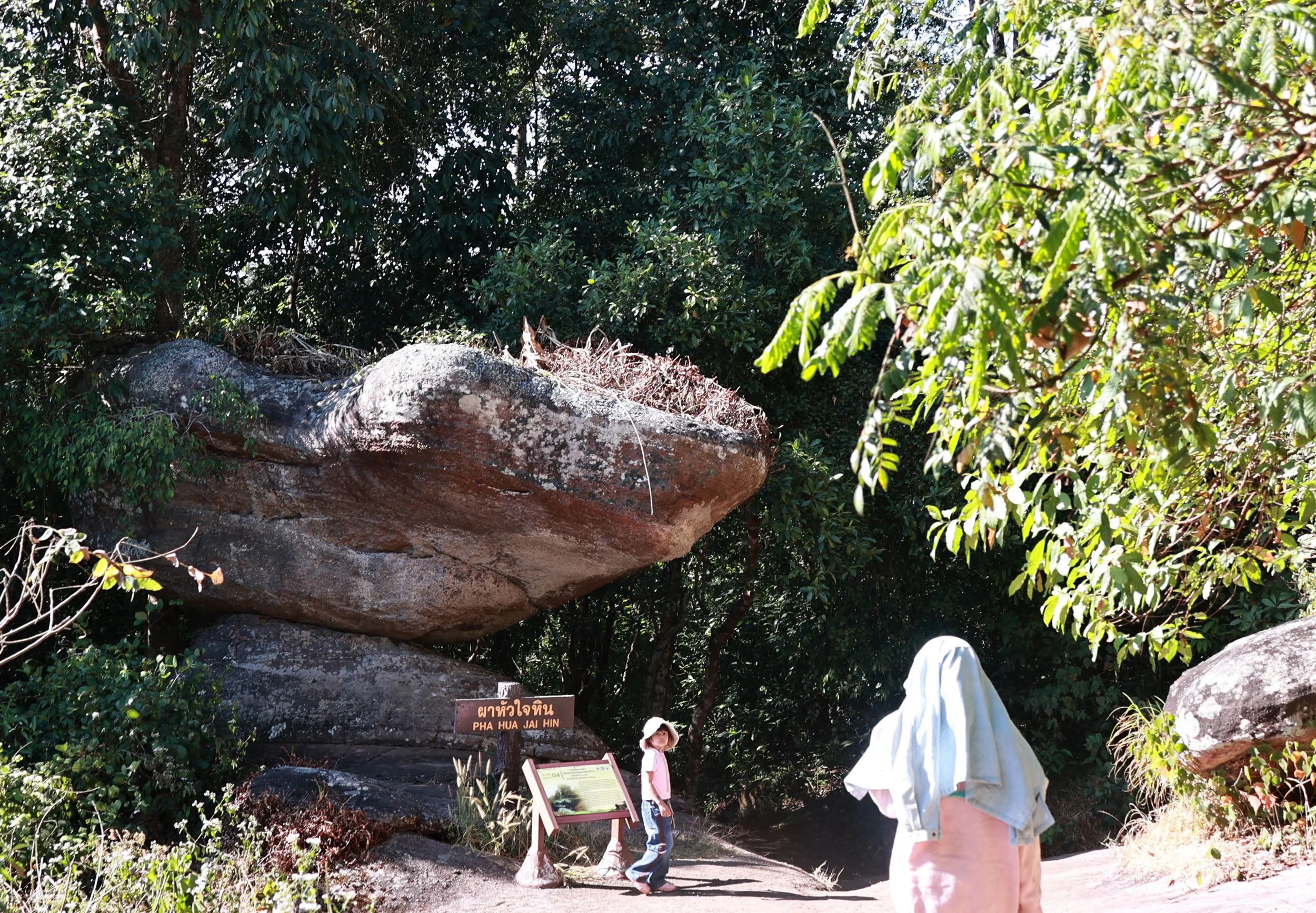 Phu Hin Rong Kla National Park Loei Province (27).jpg