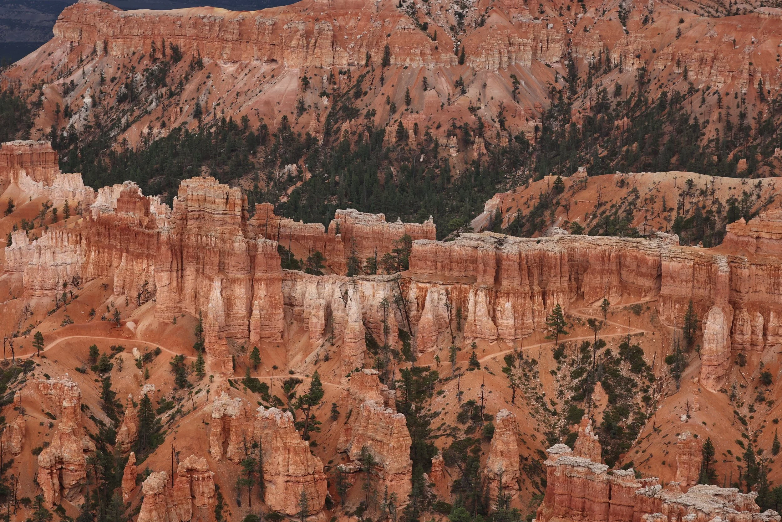 BRYCE CANYON UTAH 2022 (53).JPG