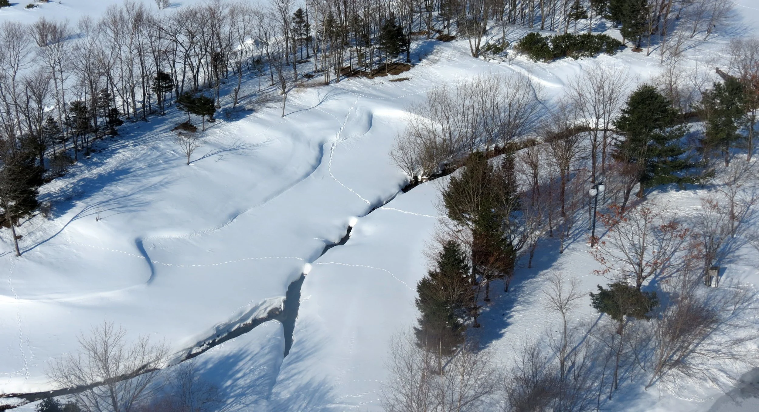 SHIBETSU SALMON MUSEUM - HOKKAIDO JAPAN (15).JPG