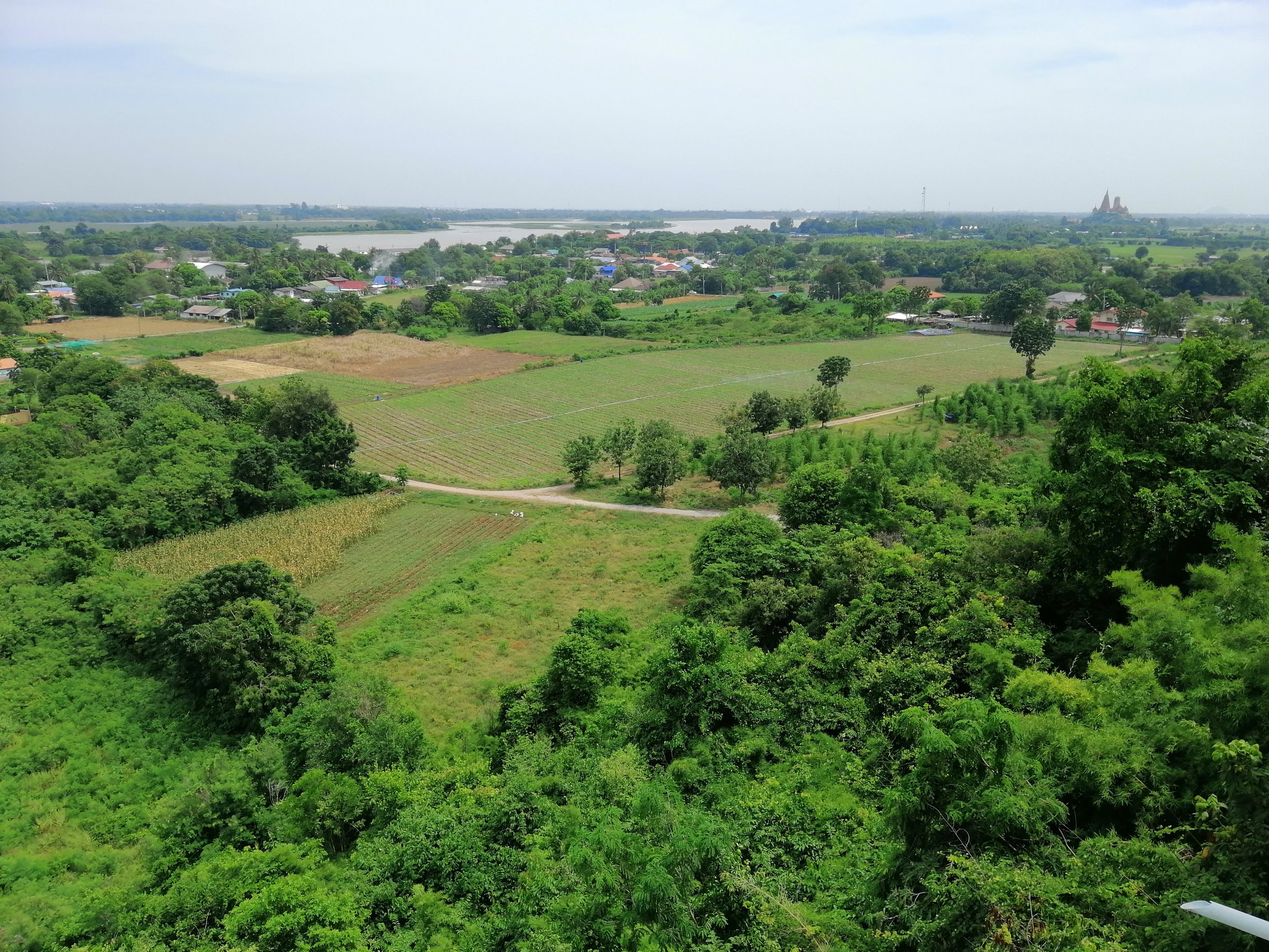 View of the lowlands east of the Western Forest Complex, now called the Chao Praya River Valley, a massive region of Thailand were much of Thailand's history evolved.