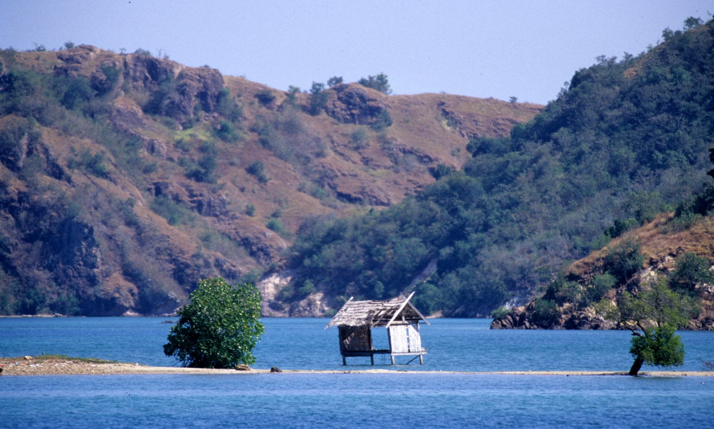 KOMODO - VIEW OF ISLAND.jpg