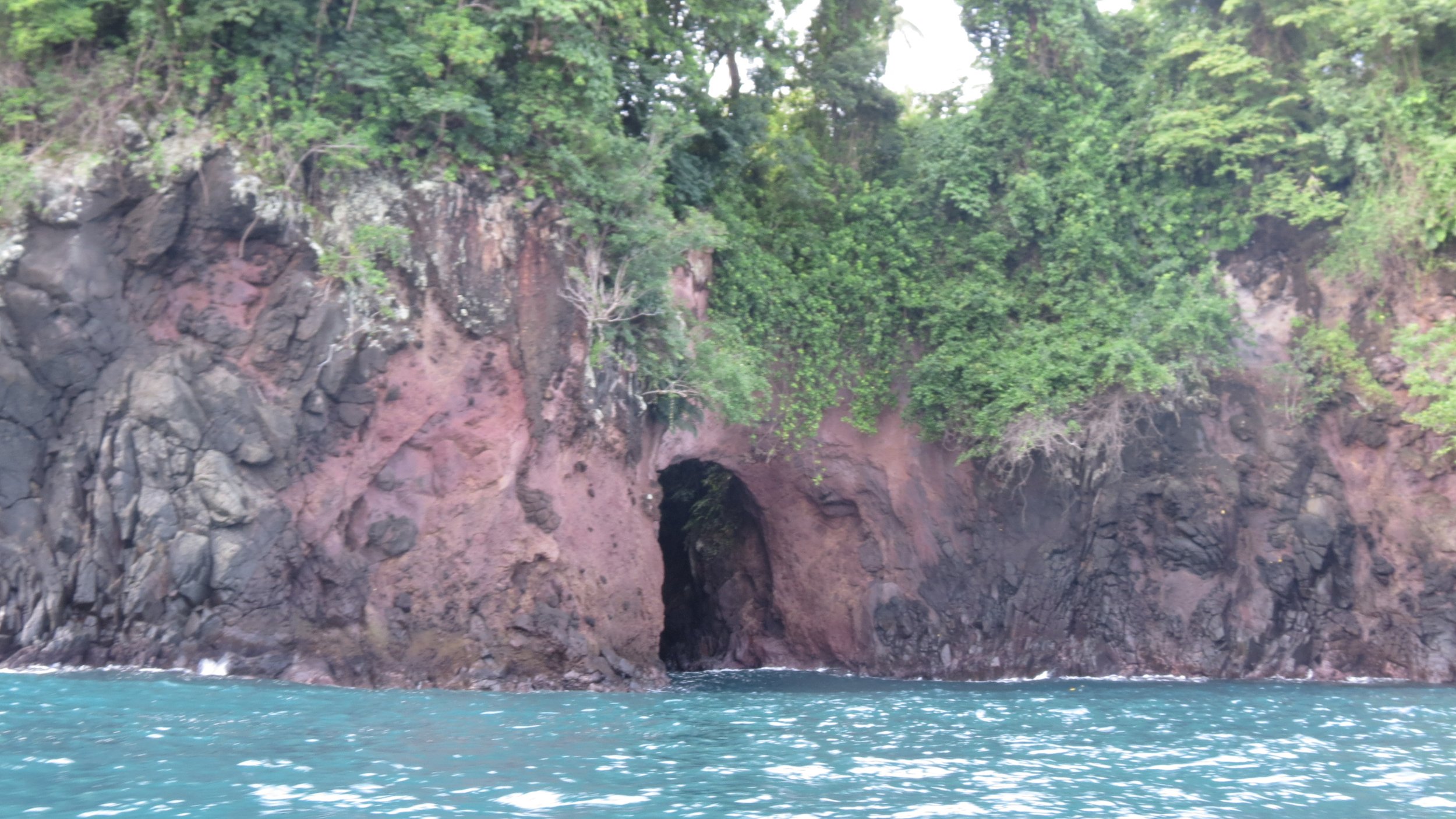 TANGKOKO NATIONAL PARK, SULAWESI INDONESIA  (25).JPG