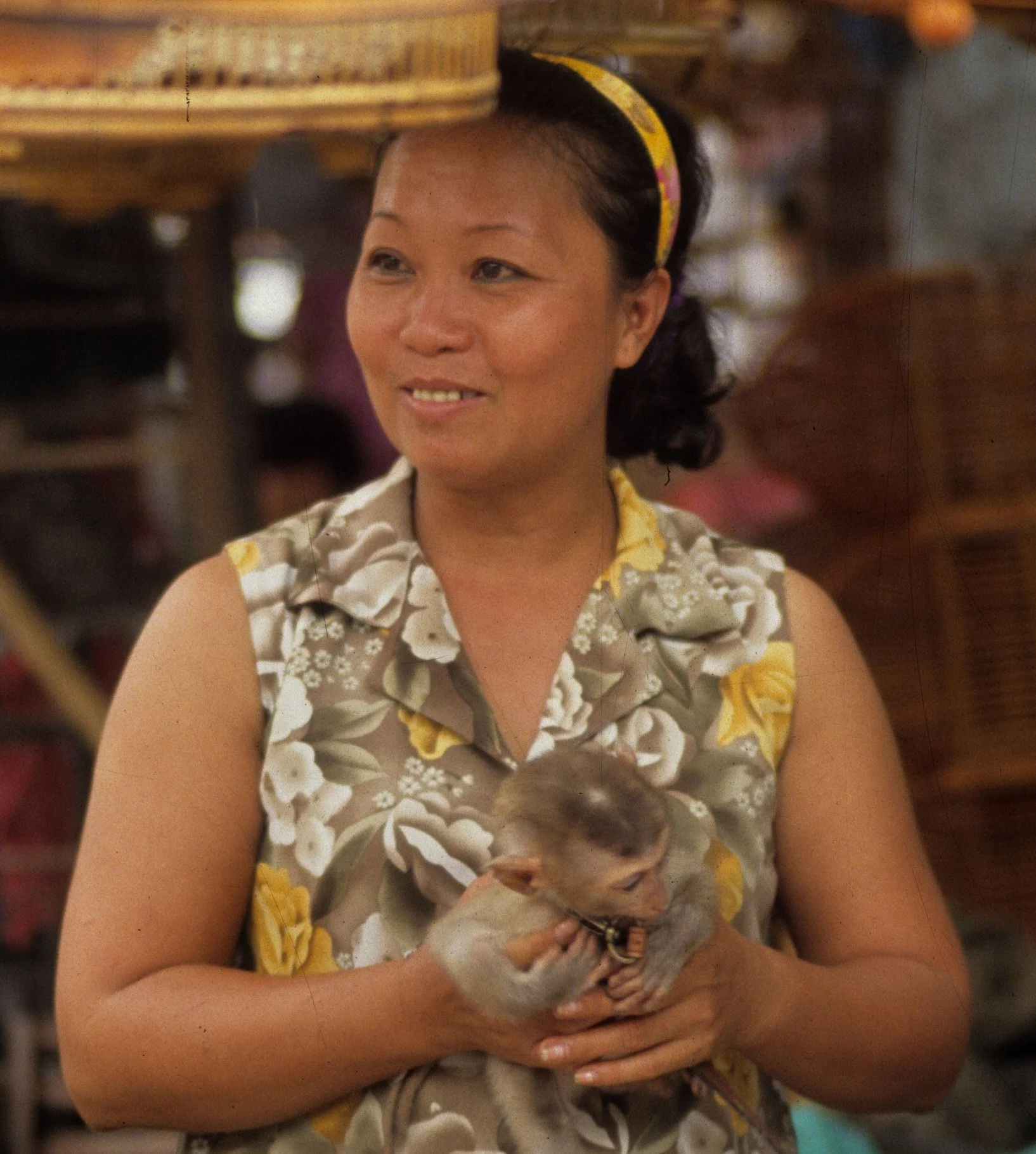 SAIGON - PET MARKET - MONKEY FOR MONKEY BRAINS A.jpg