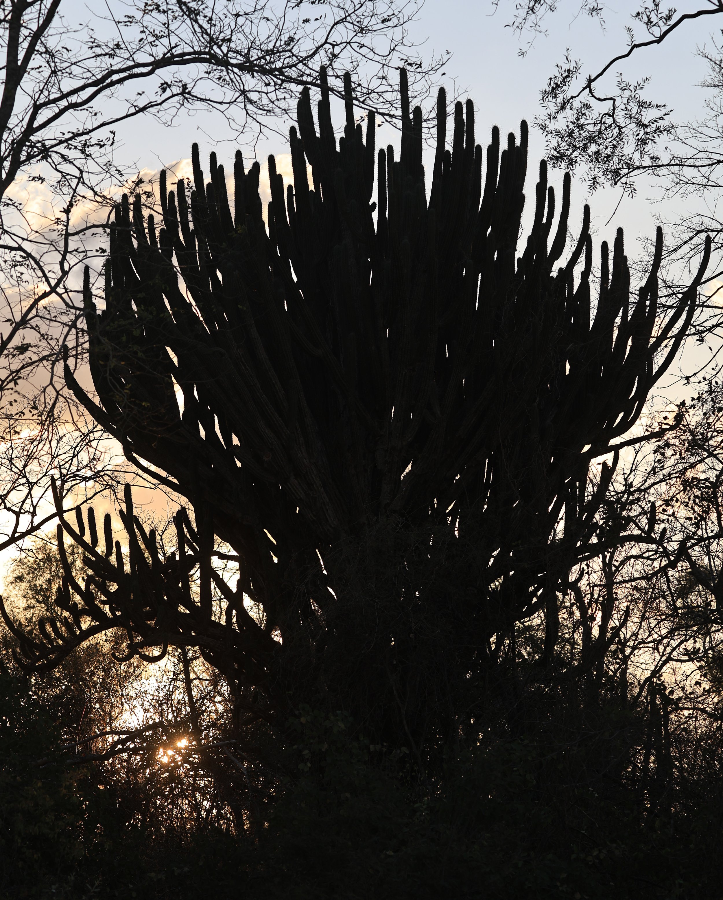Agua Dulce Paraguay (106).jpg