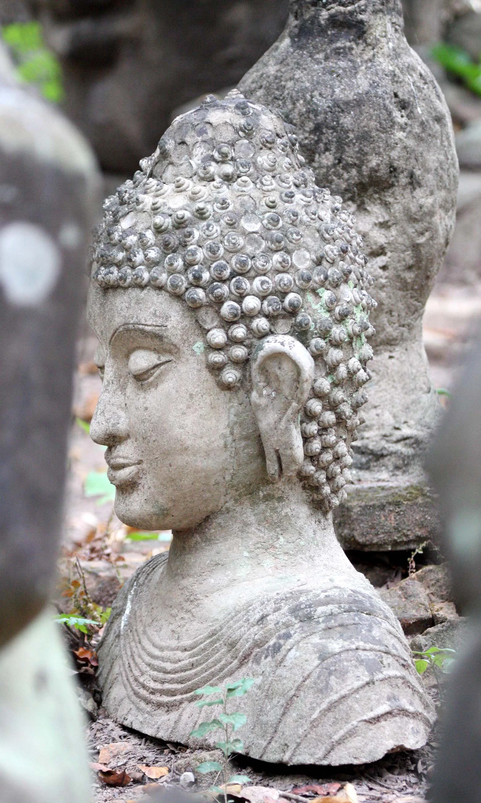 CHIANG MAI - WAT UMON - CHRISTMAS IN THAILAND TRIP 2008 (22).JPG