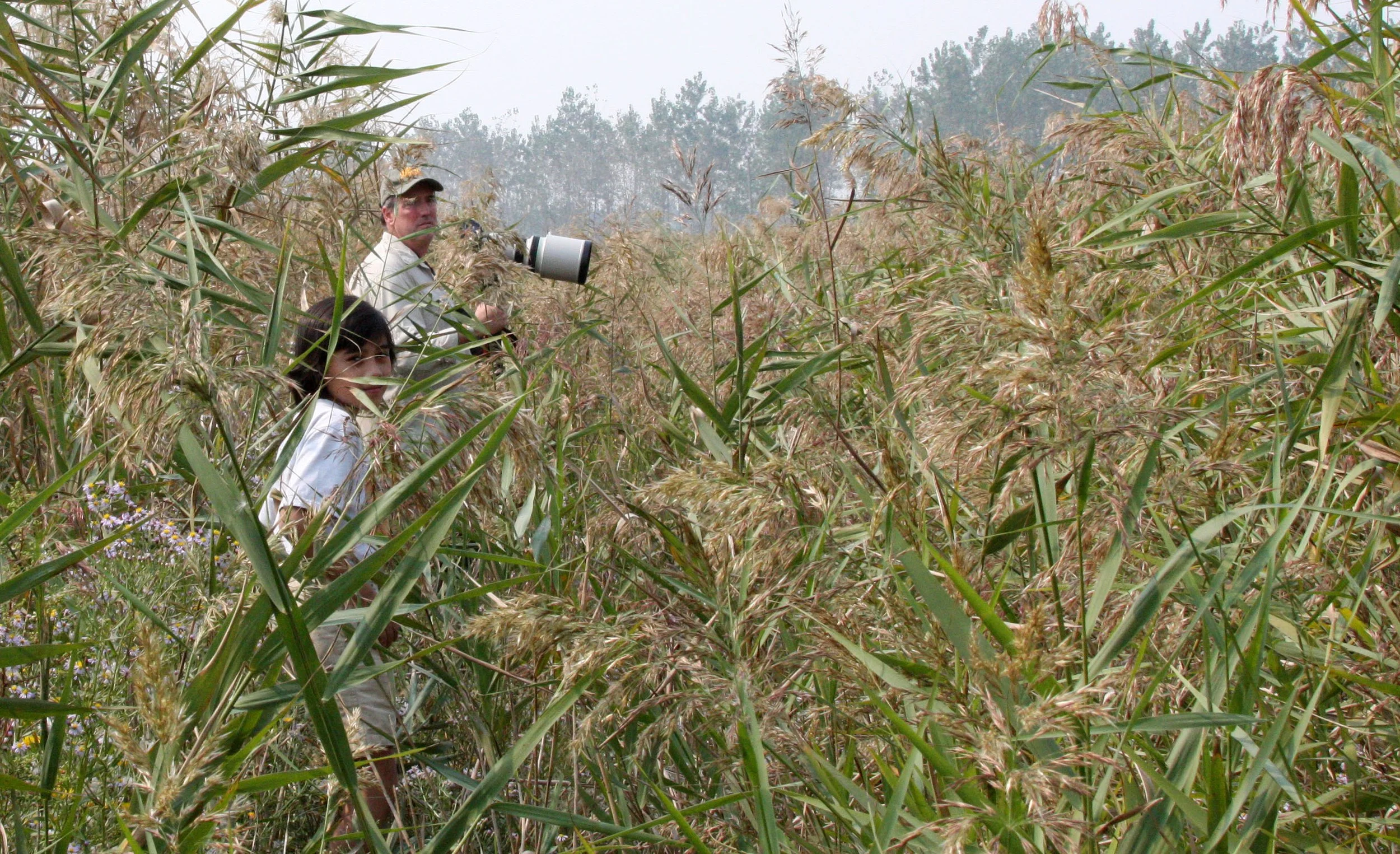 RUDONG CHINA -  BIRDING TRIP - 15-17 OCTOBER 2010 (79).JPG