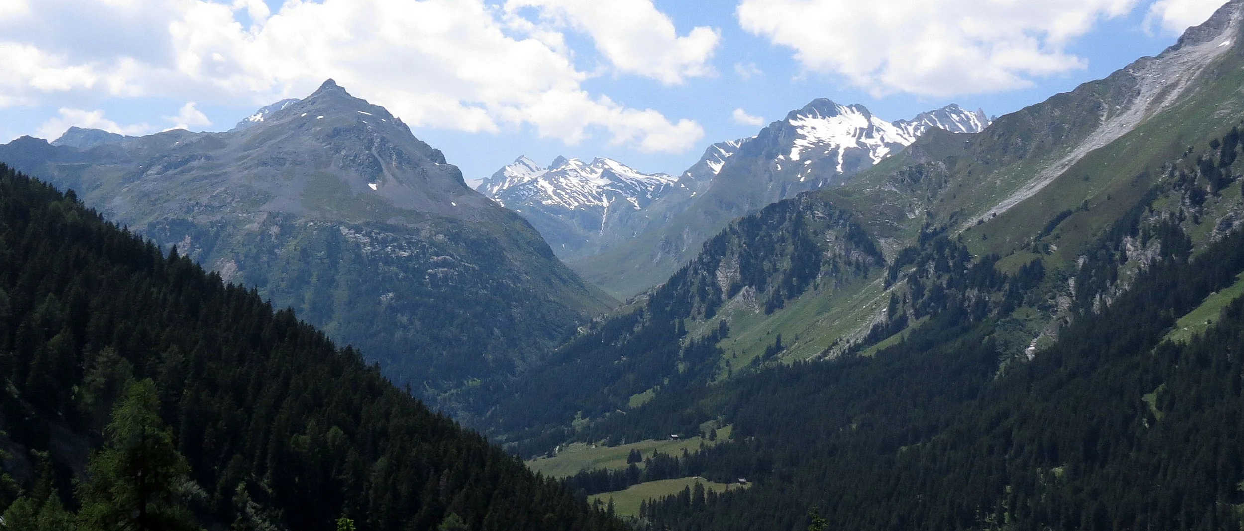 SWISS NATIONAL PARK - SUMMER 2013 (7).JPG