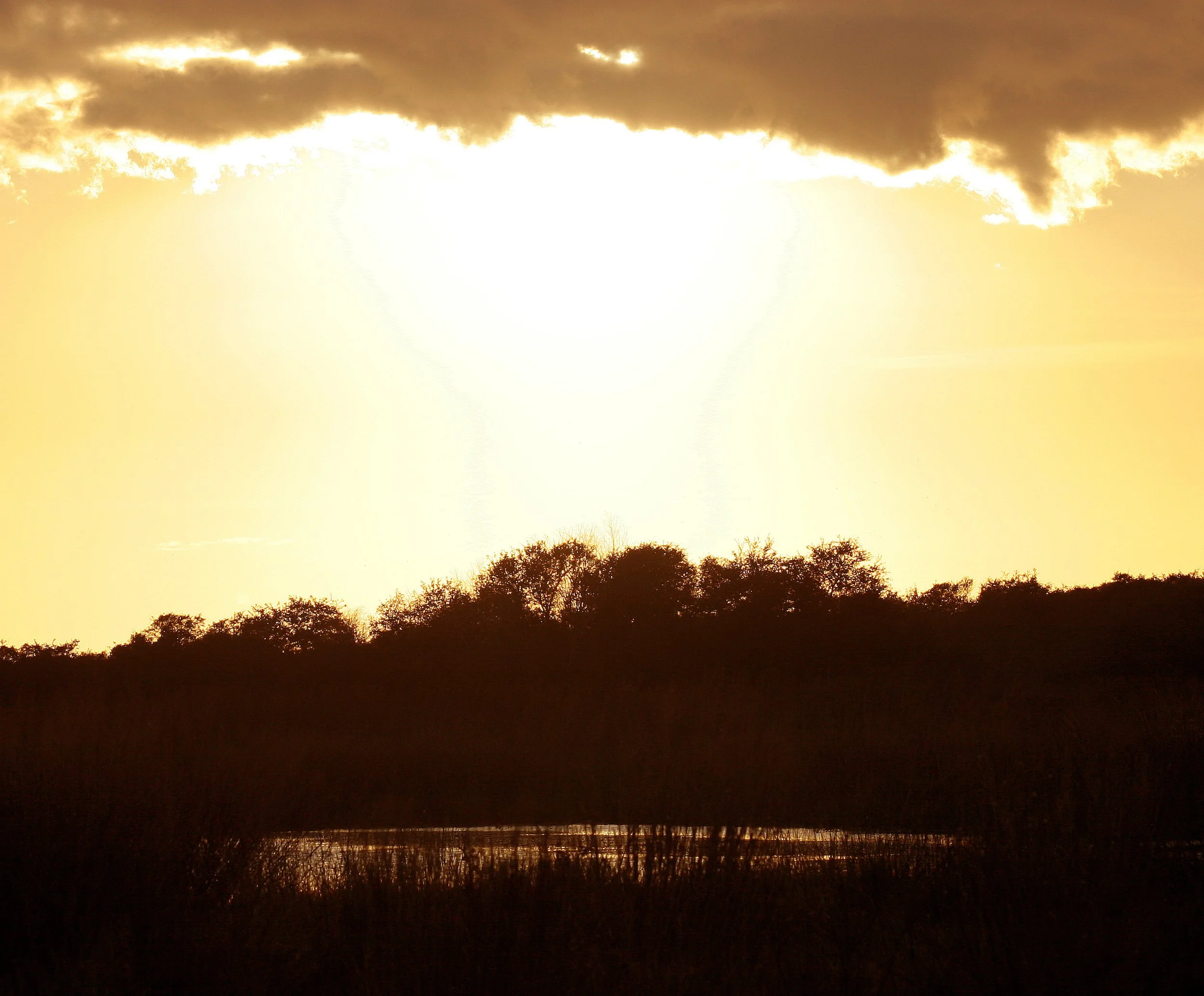 ARANZAS NWR - TEXAS (2).jpg