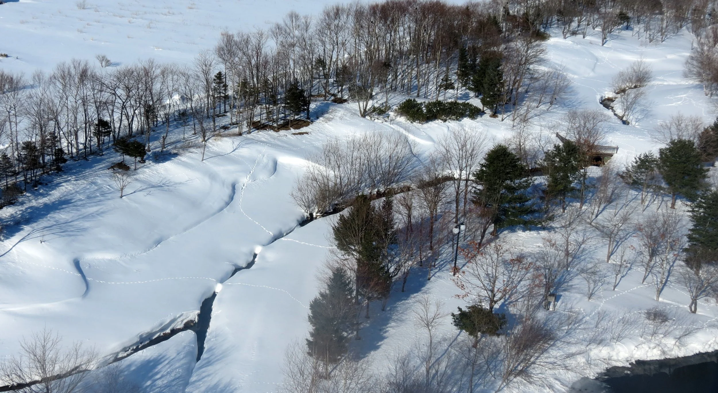 SHIBETSU SALMON MUSEUM - HOKKAIDO JAPAN (14).JPG