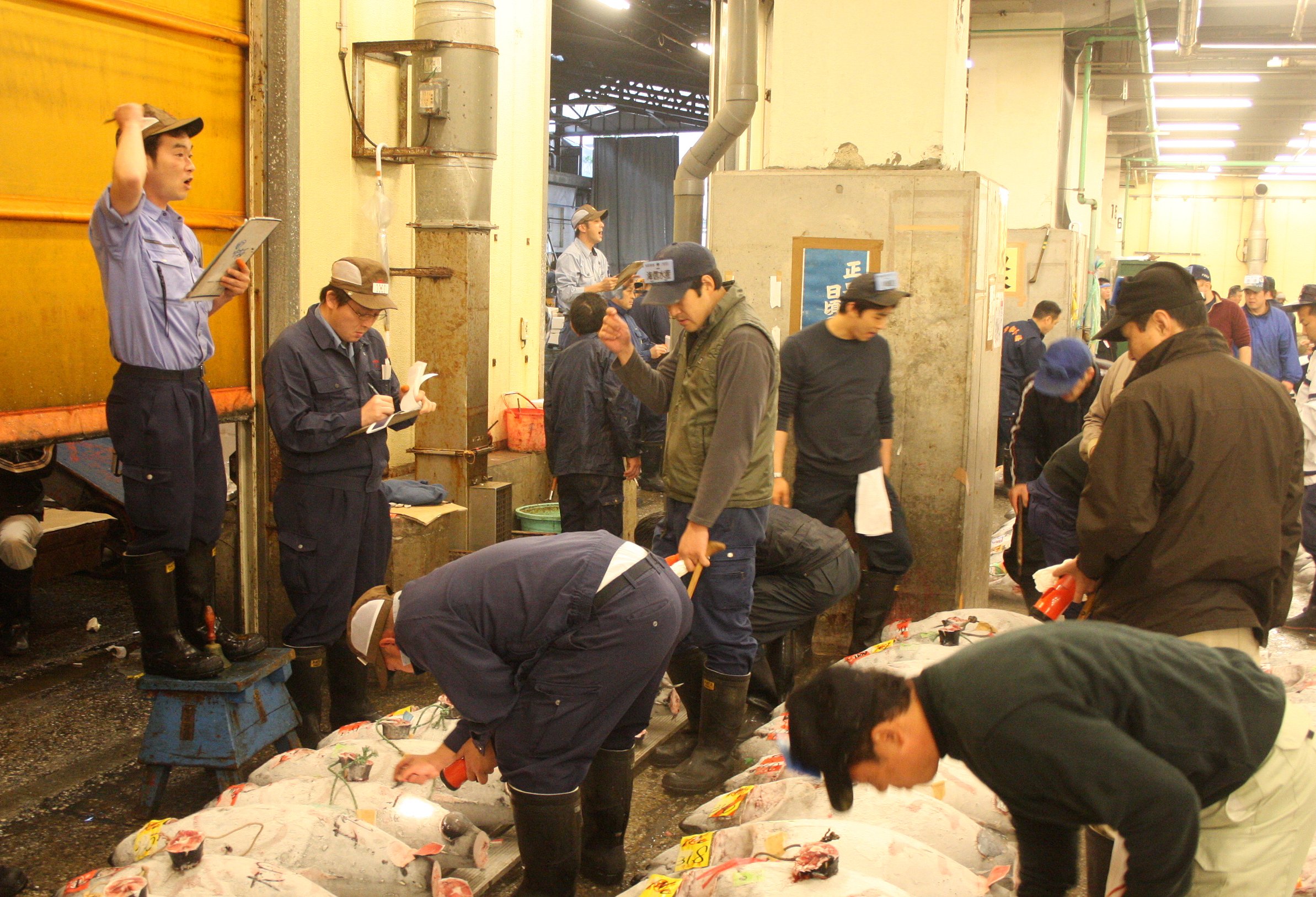 TOKYO - MAY 2009 - TSUKIJI MARKET (8).JPG