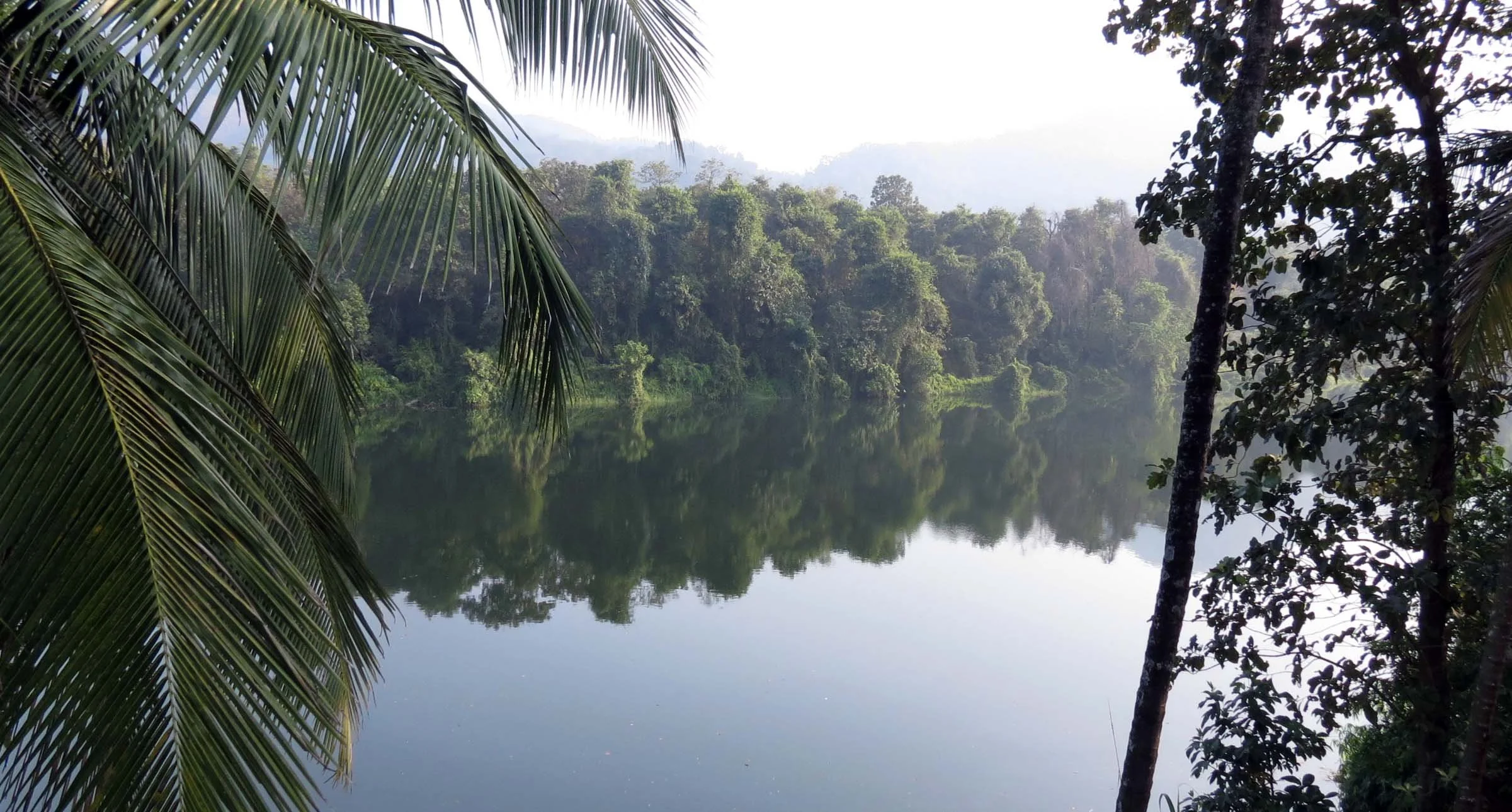 THATTEKAD WILDLIFE SANCTUARY KERALA INDIA (5).JPG