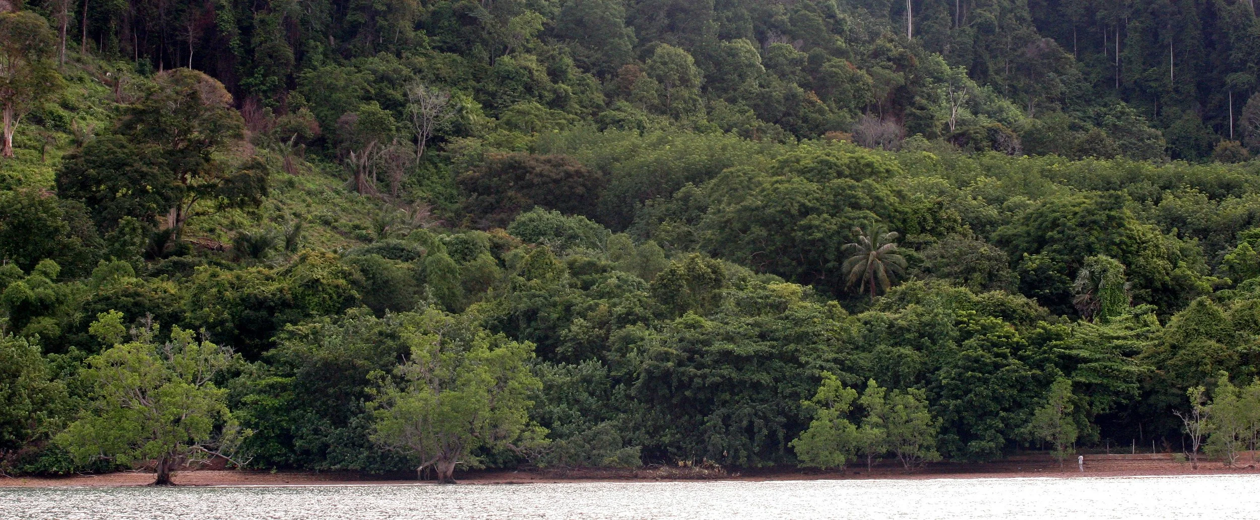 KOH LANTA - 2008 - PROPERTY VIEWS (2).JPG