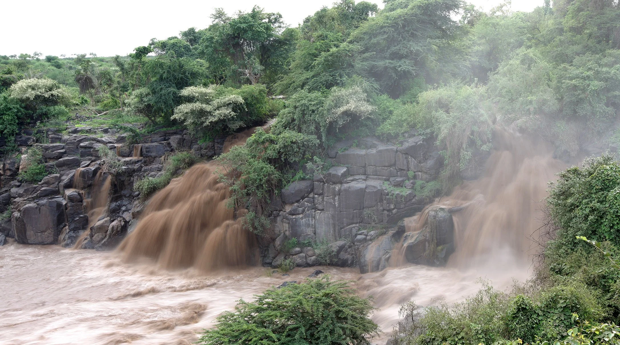 AWASH NATIONAL PARK ETHIOPIA - AWASH FALLS LODGE (9).JPG