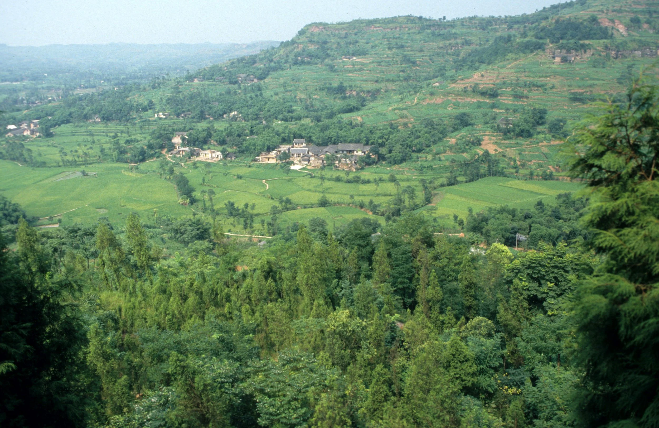 DA ZU - COUNTRYSIDE (3).jpg