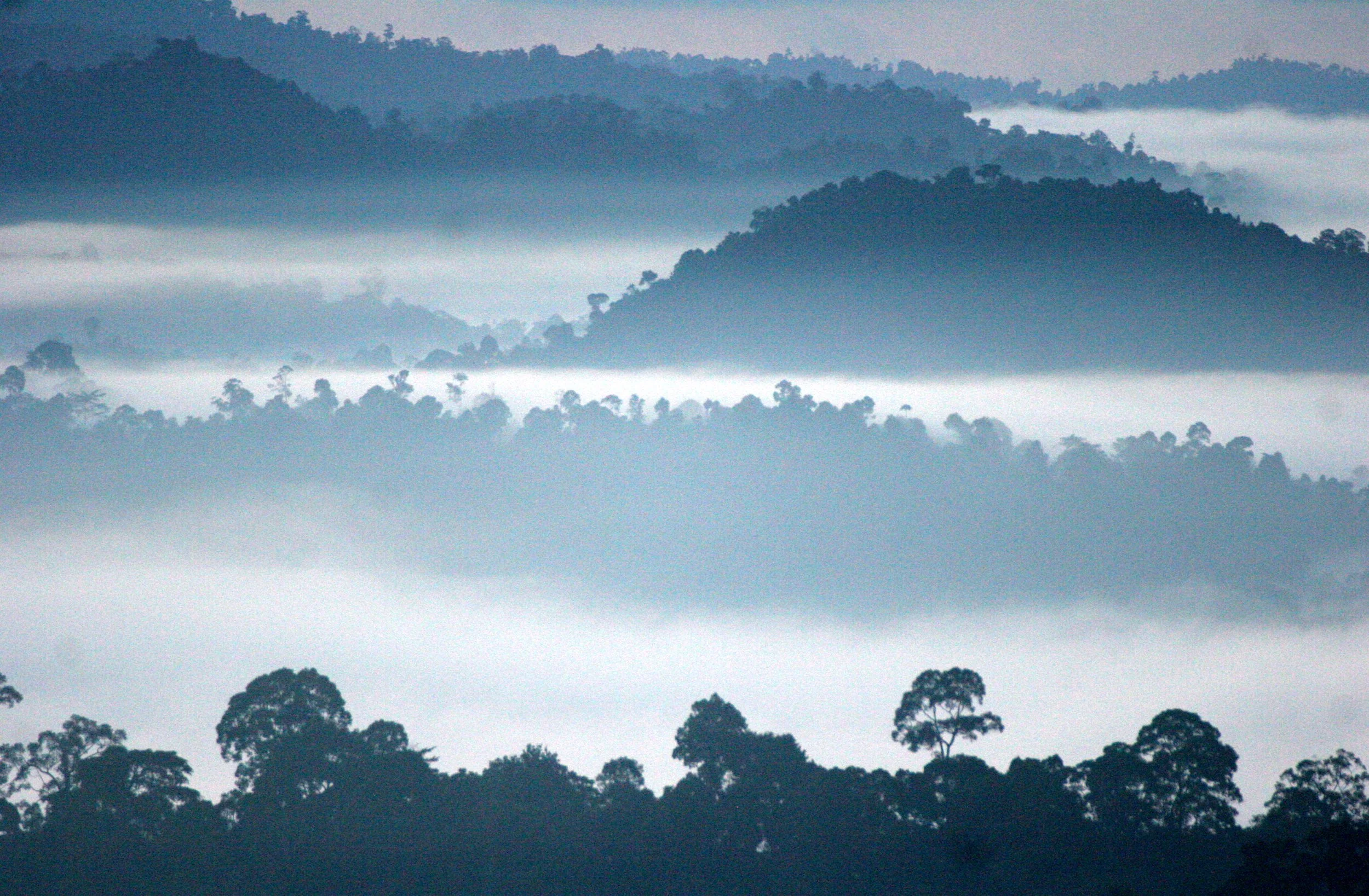 DANUM VALLEY BORNEO - SUNRISE OVER THE DANUM (33).JPG