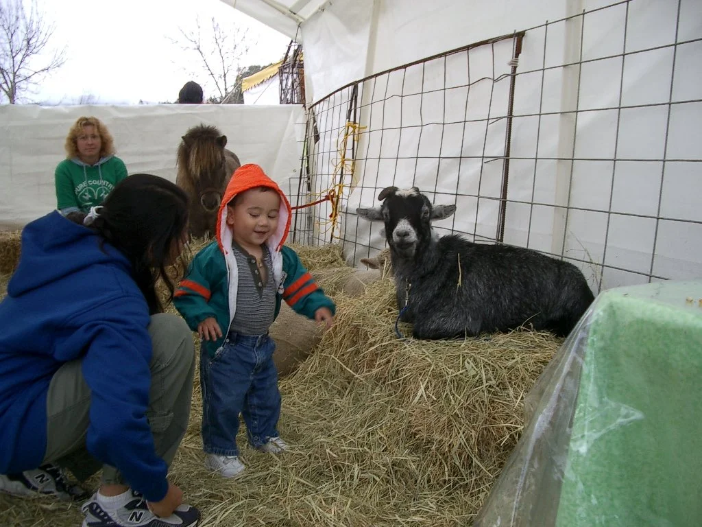 2003-10-12 CRAB FEST CRITTERS (7).JPG