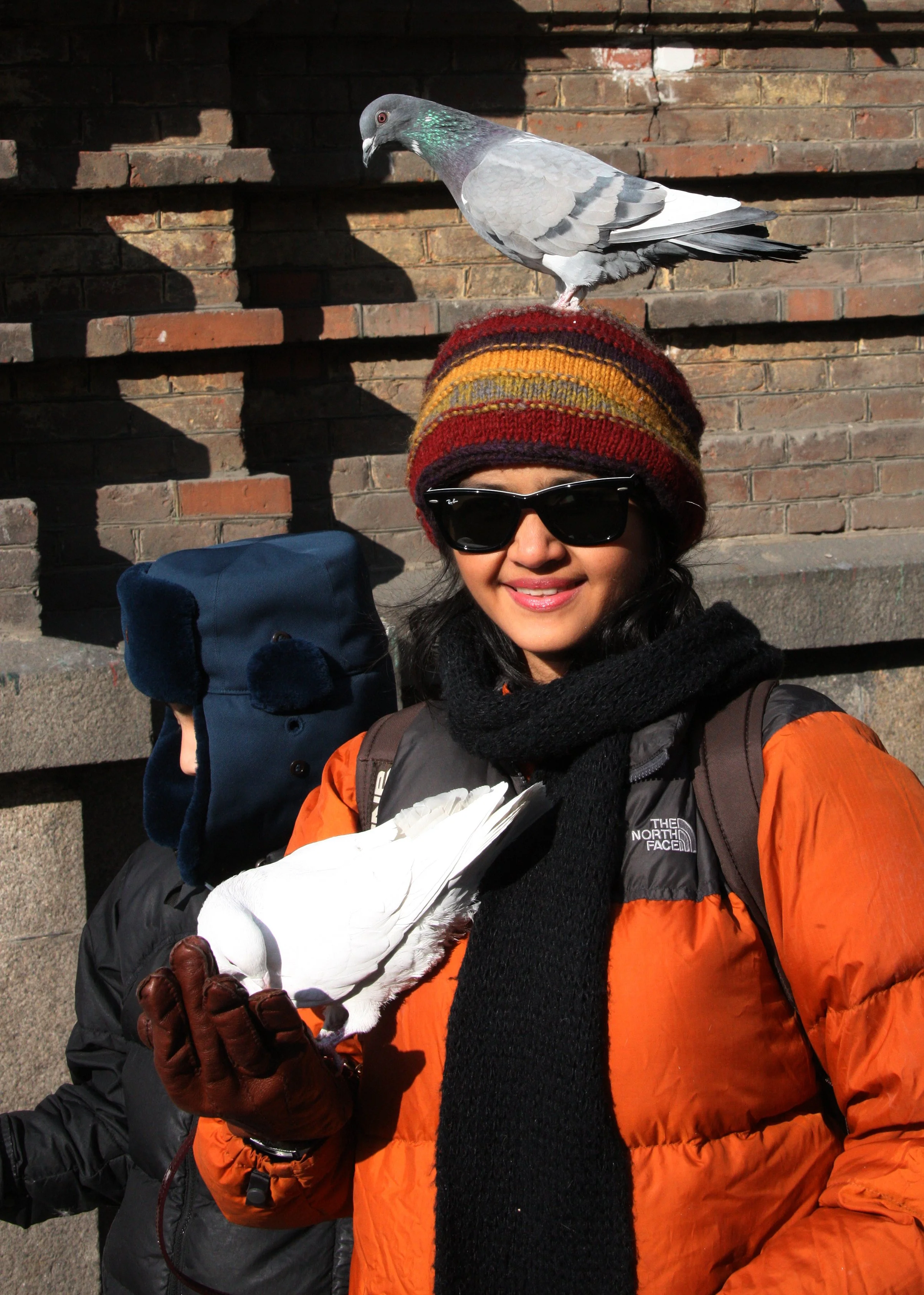 BIRD - PIGEON - HARBIN SAINT SOPHIA'S CATHEDRAL CHINA (64).JPG