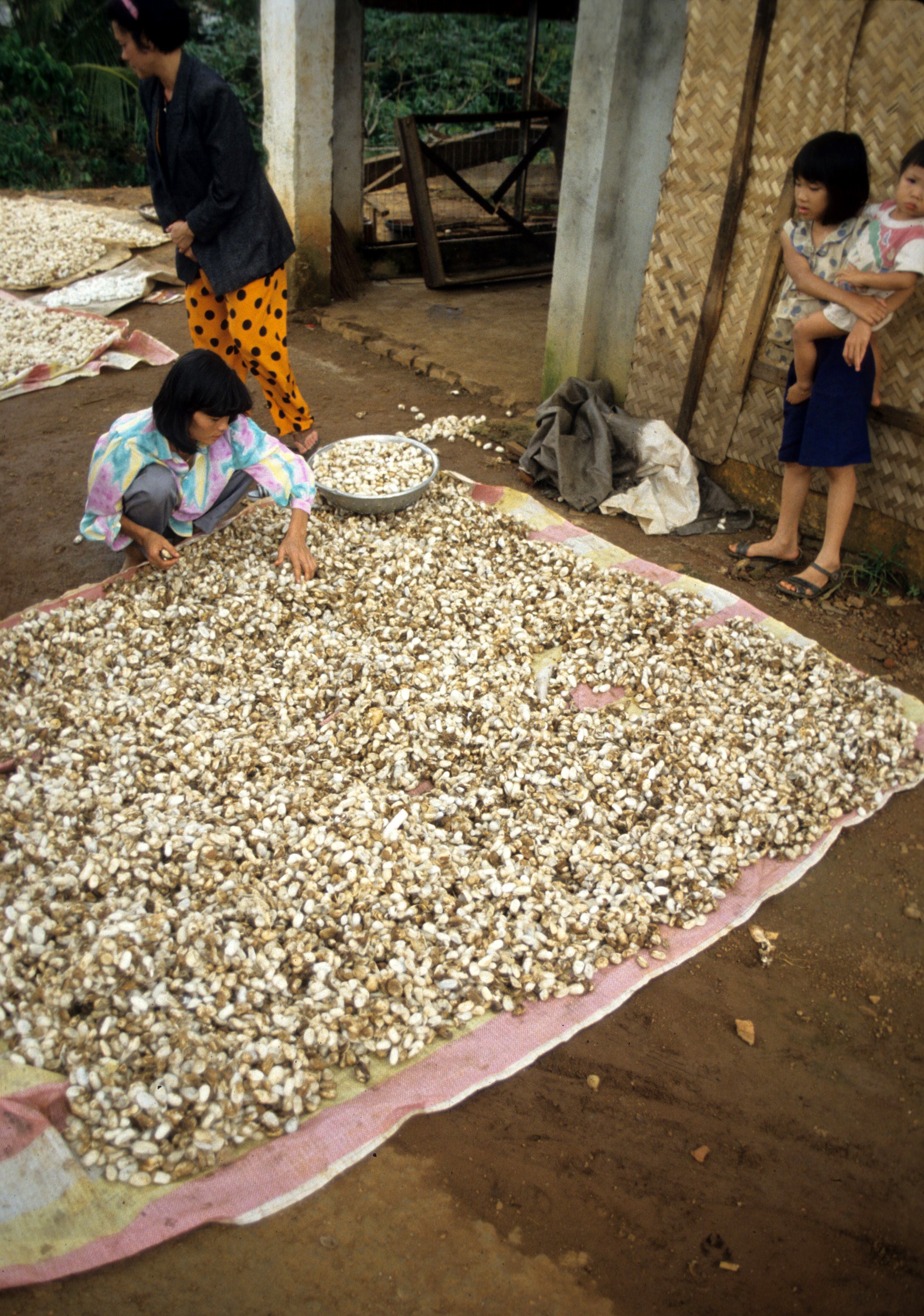 DALAT - SILKWORM FARM.jpg