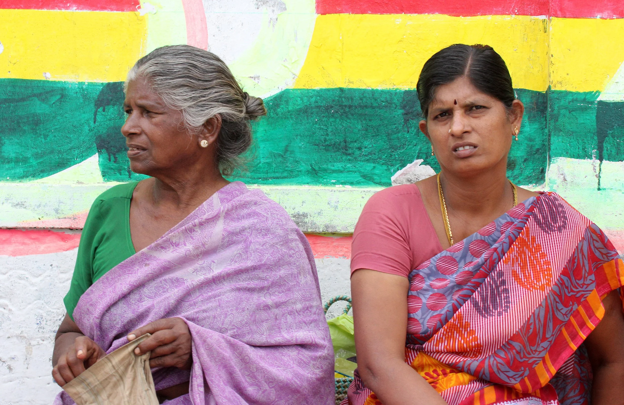 CHINNAR NATIONAL PARK TAMIL NADU INDIA (16).JPG