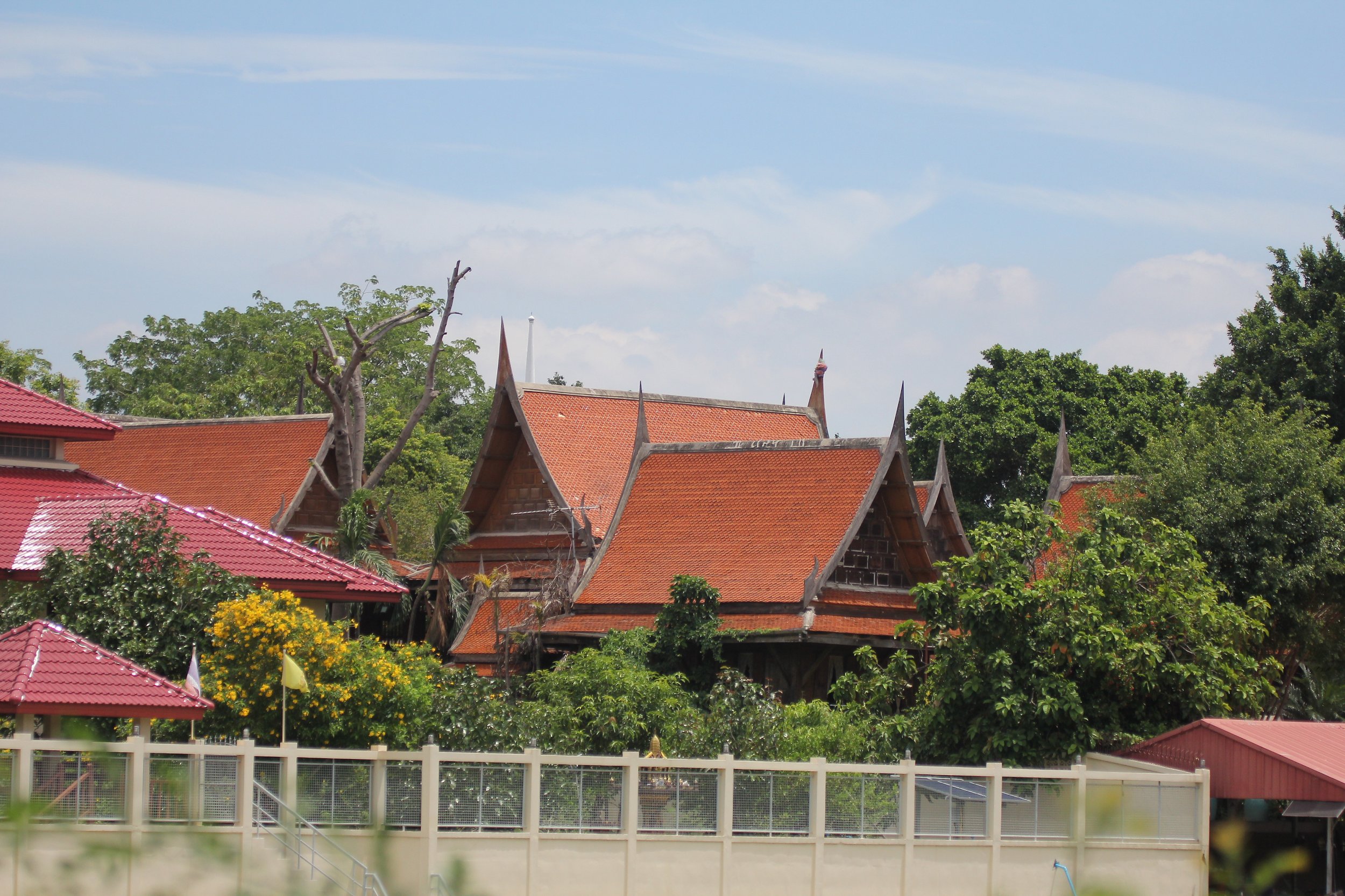 2020 - Ayutthaya Cokie's Pictures (65).JPG