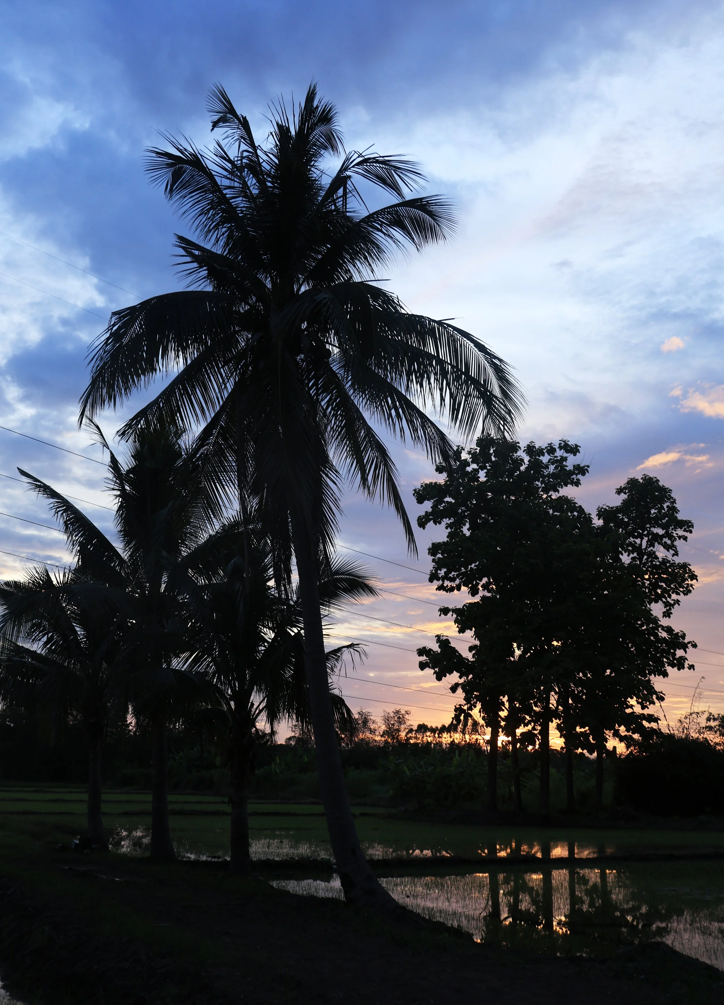 Khao Nor Khao Kaew Bat Viewing Nakhon Sawan (58).jpg