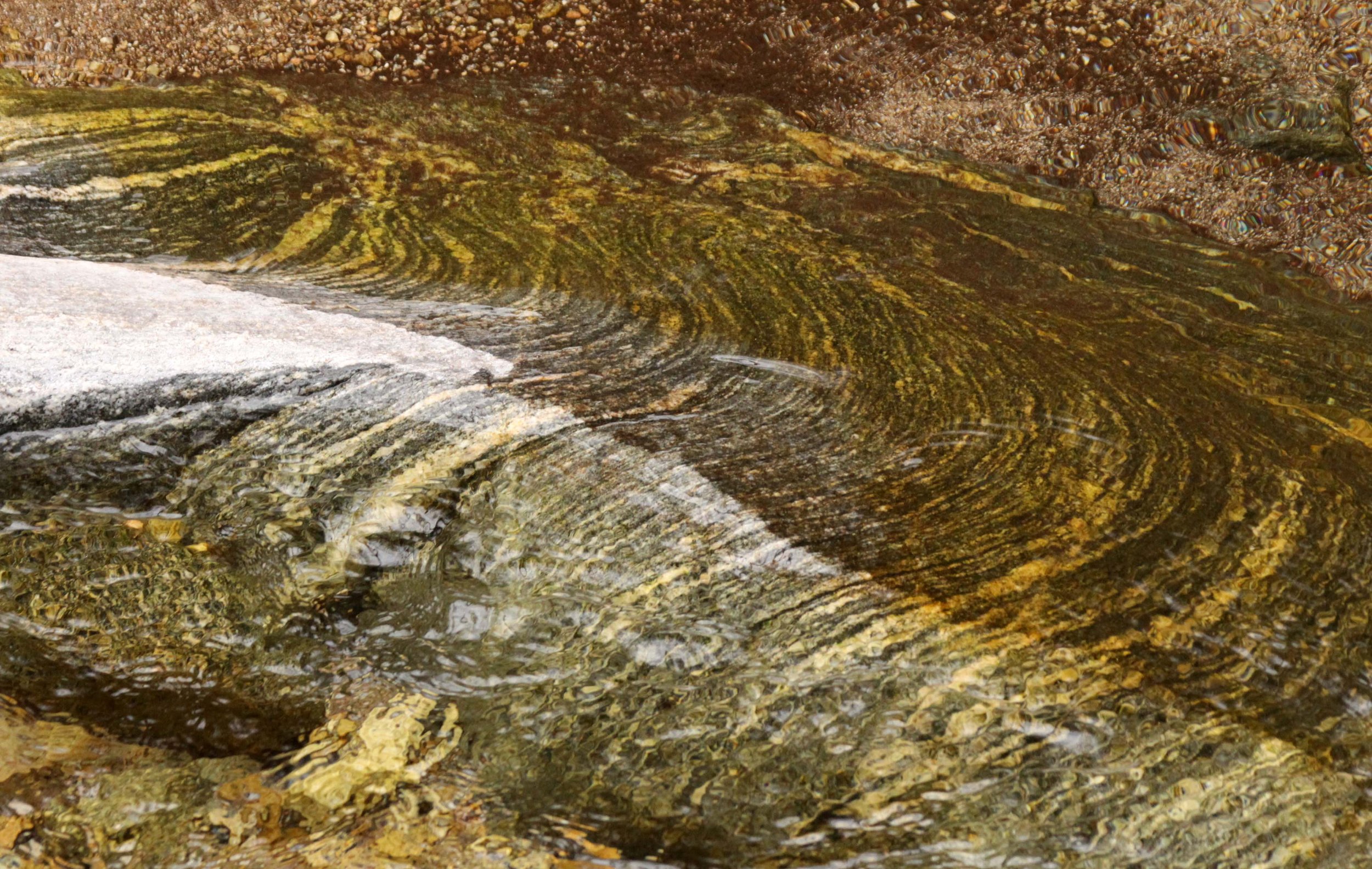 FOPING NATURE RESERVE - SHAANXI PROVINCE CHINA (121).JPG