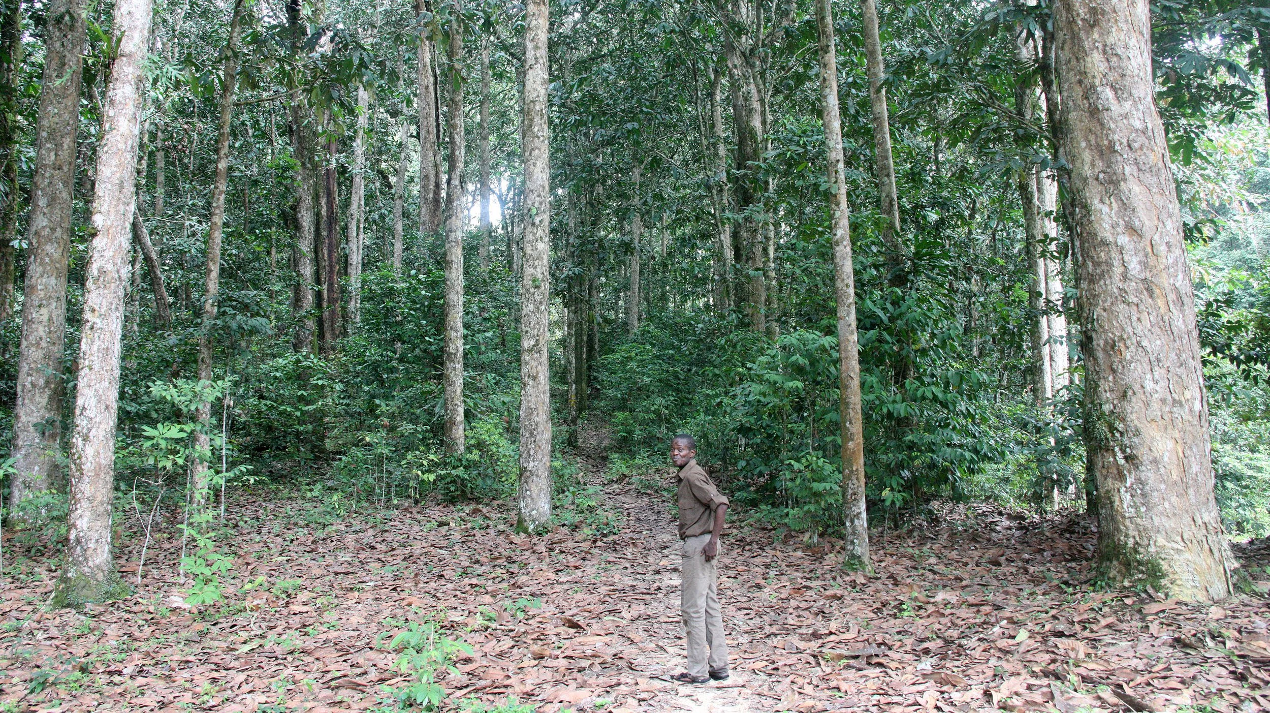 DZANGA NDOKI NATIONAL PARK CENTRAL AFRICAN REPUBLIC (42).JPG
