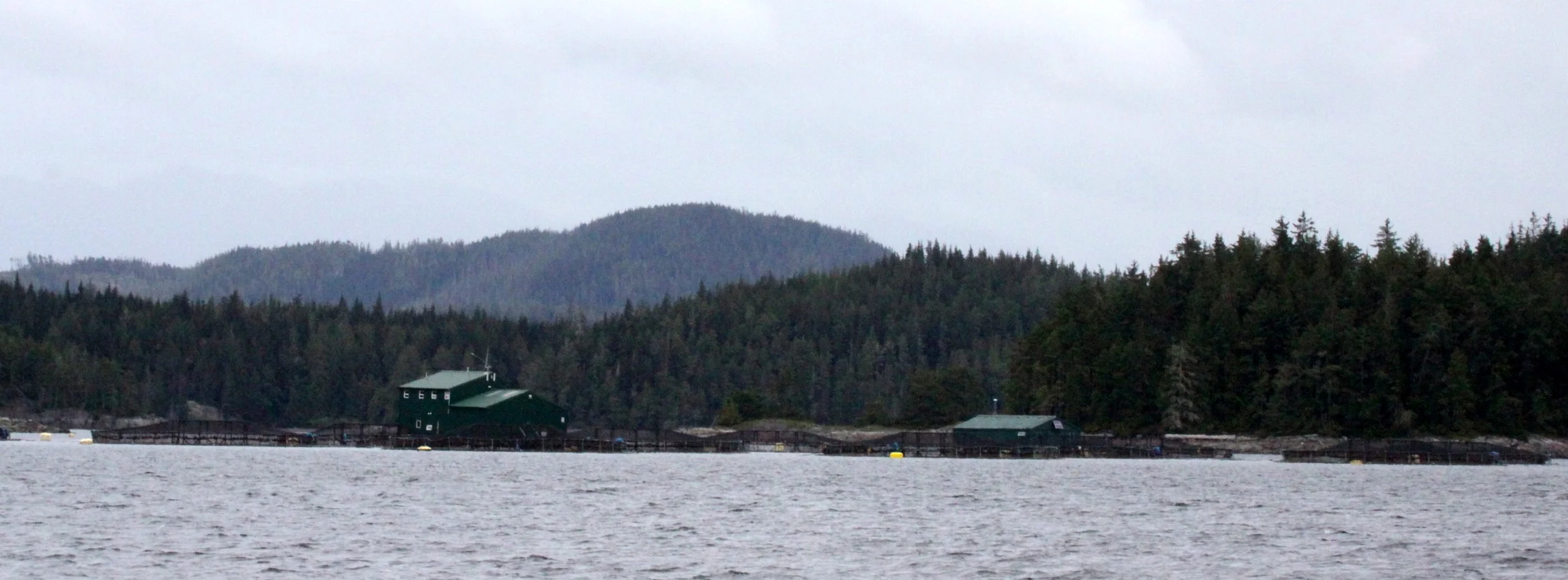 KNIGHTS INLET BRITISH COLUMBIA - SALMON FARMING.JPG