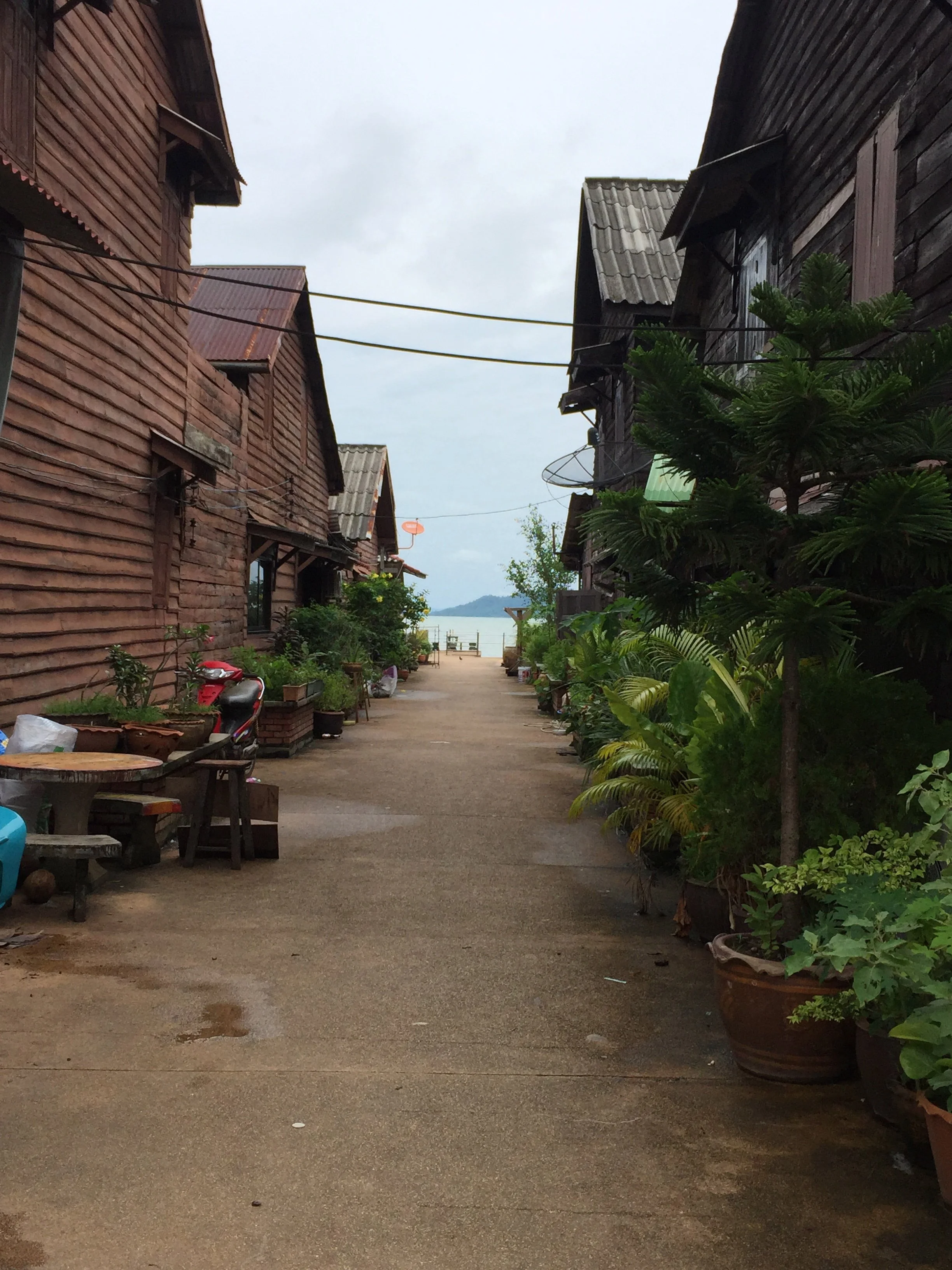 2016 Koh Lanta TheOtherSideVillas - Nature at our Home (107).jpg