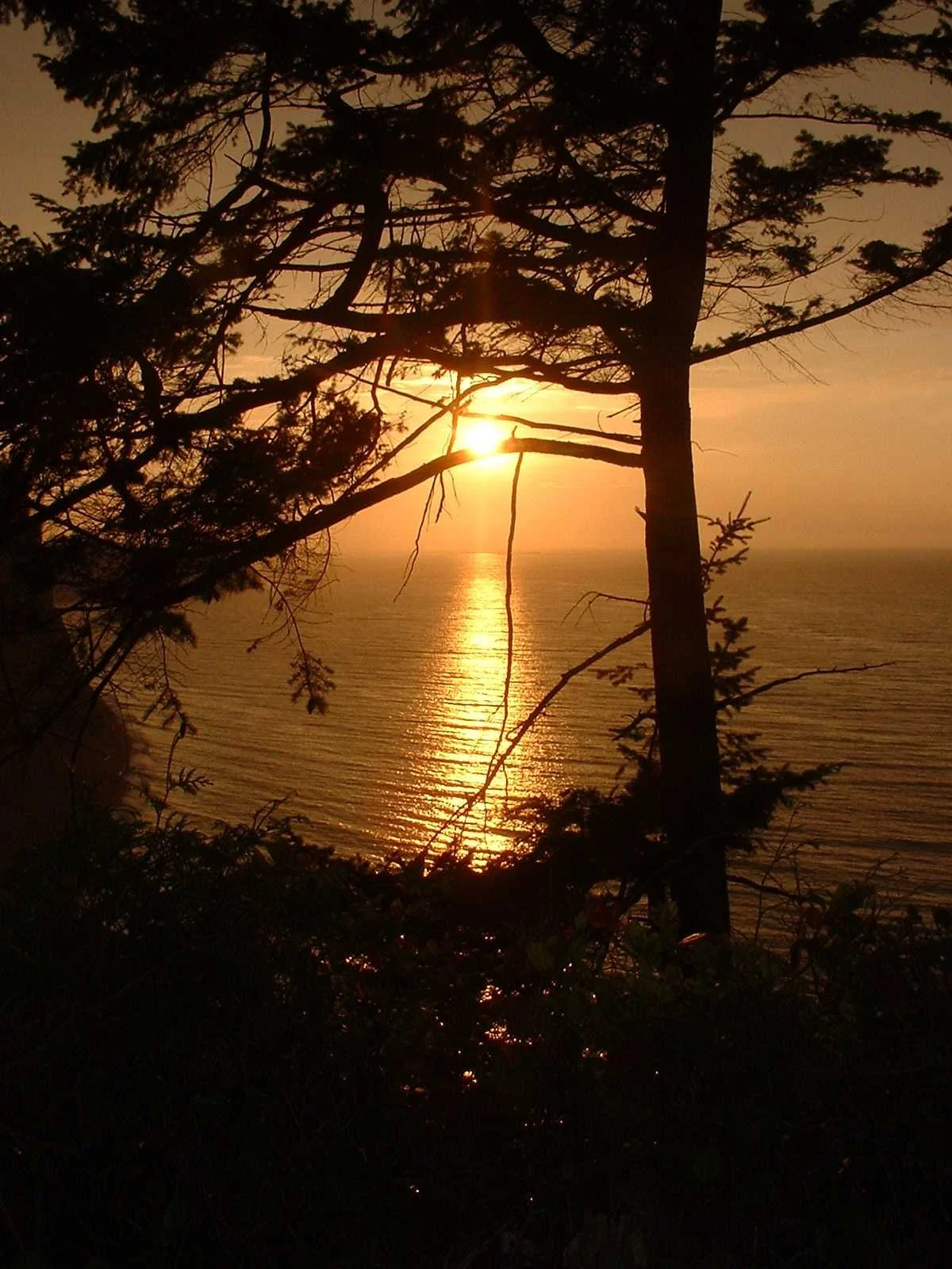 2003-8-1 WASHINGTON VISIT FROM ROBINSONS ET AL (128).JPG