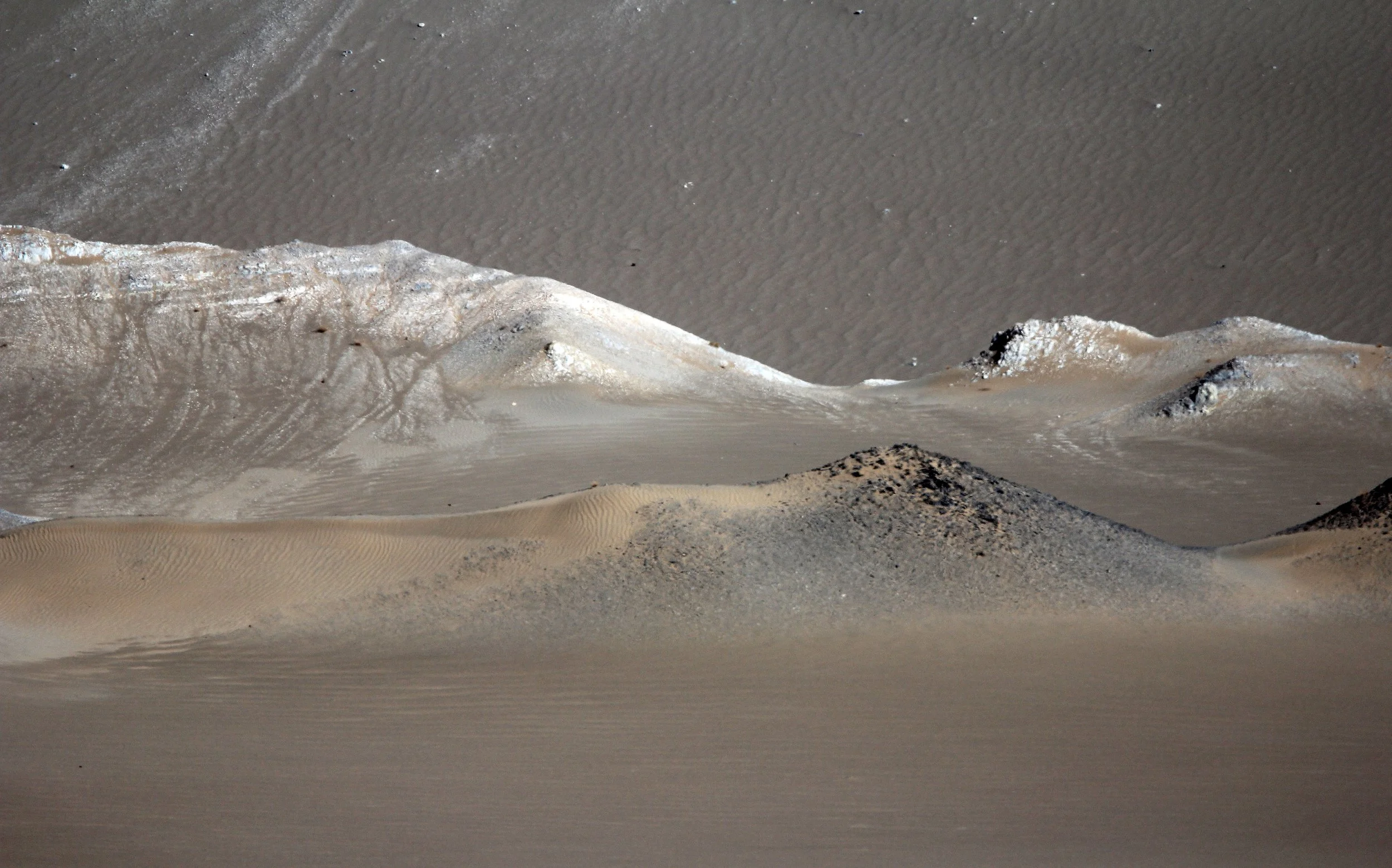 LOP NUR WILD BACTRIAN CAMEL RESERVE - XINJIANG CHINA (147).JPG
